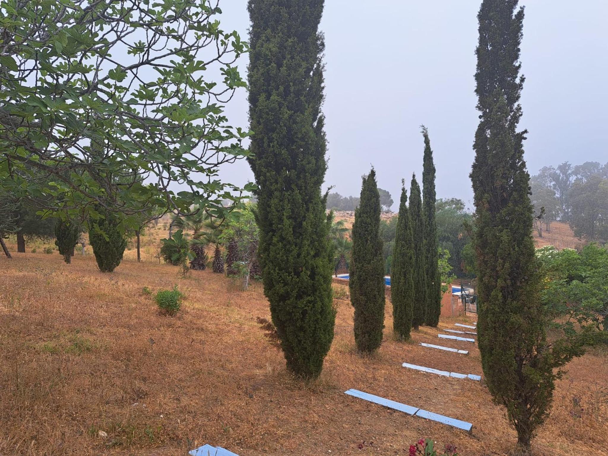 Villa LA DACHA