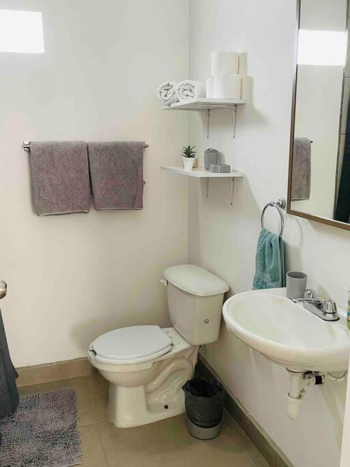 Gabby’s Accesible House in Private area