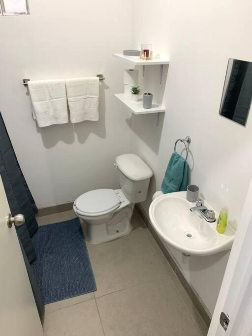 Gabby’s Accesible House in Private area