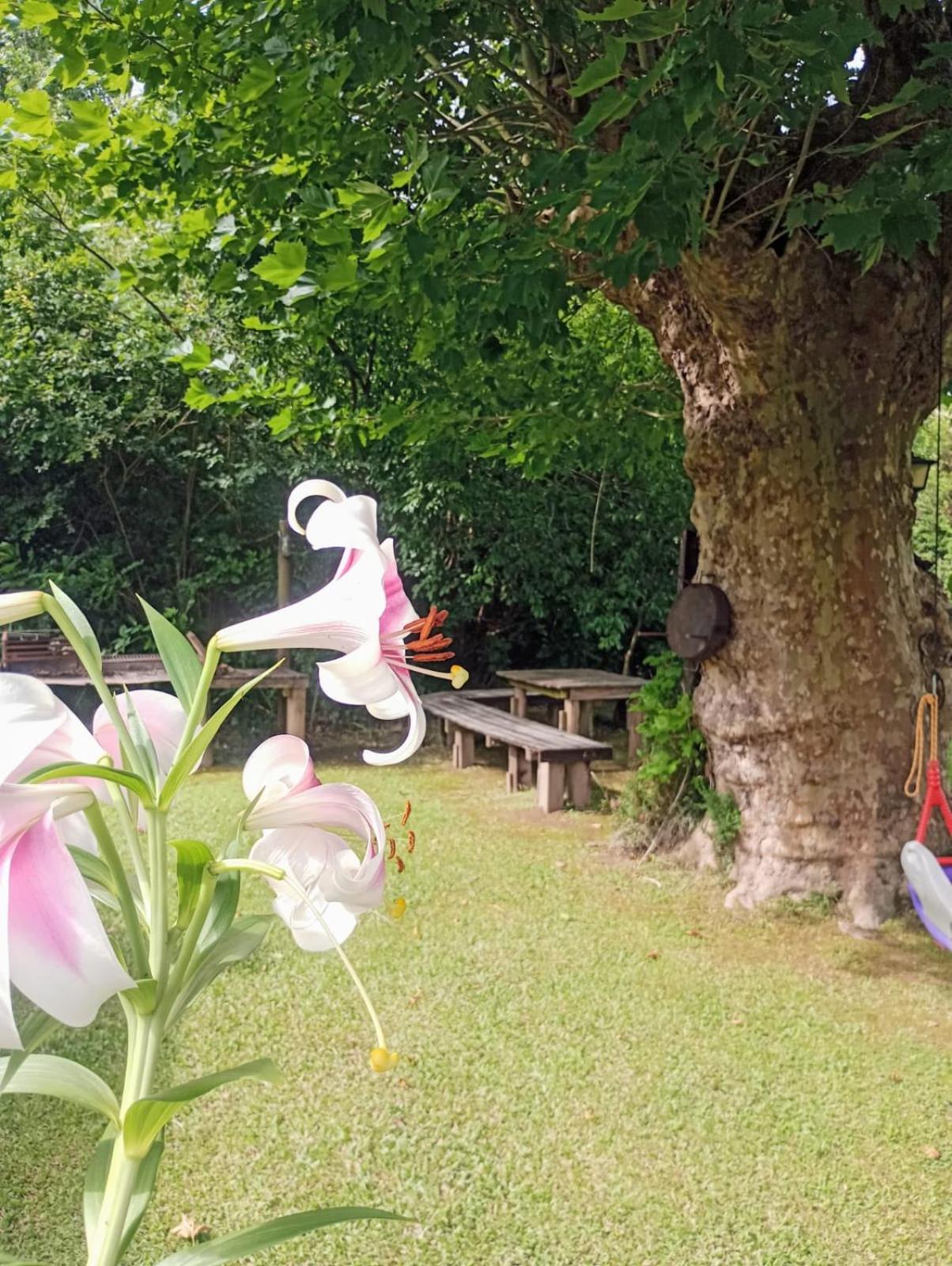 Casa quinta de rio