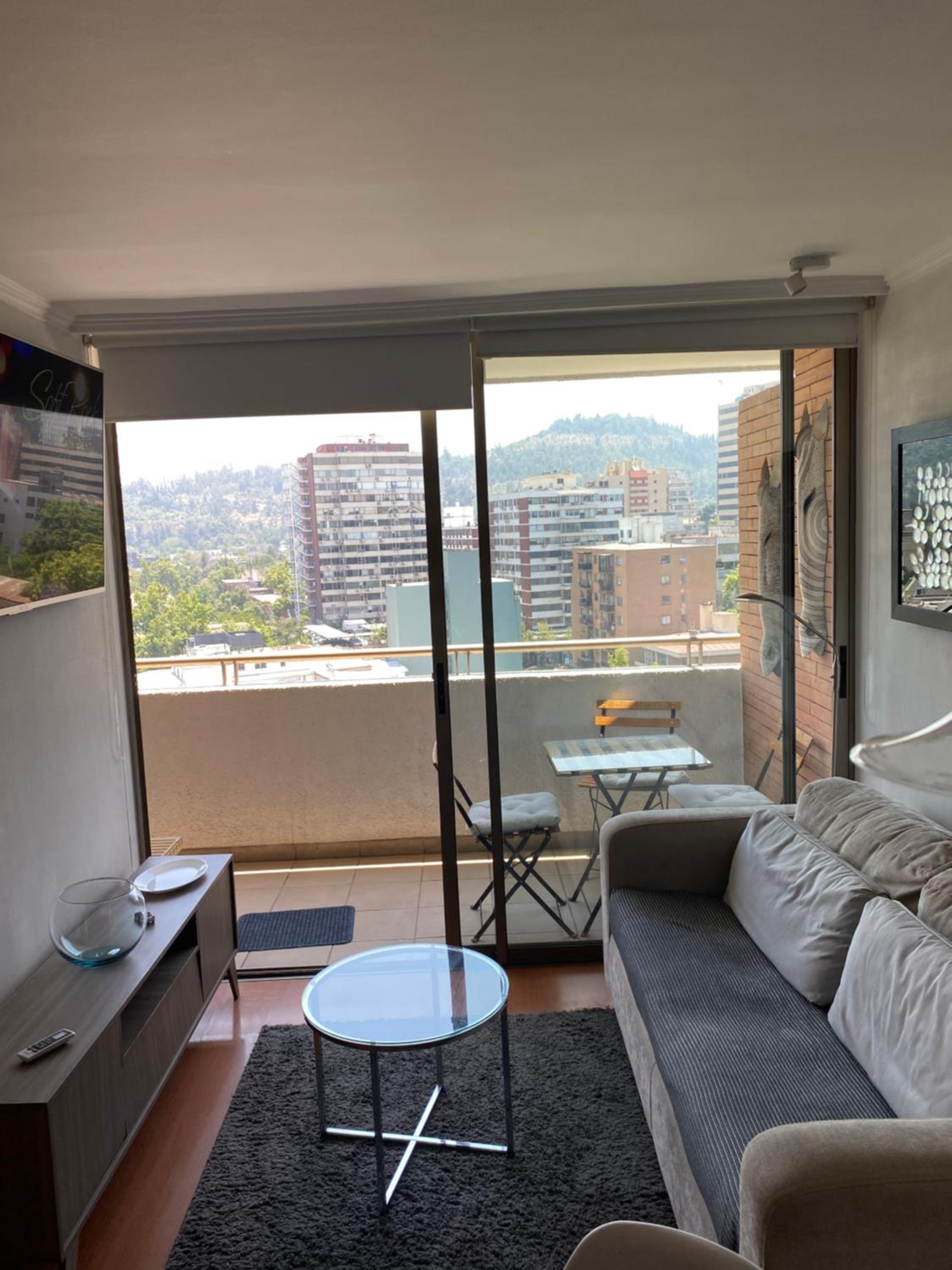 Precioso departamento Providencia central