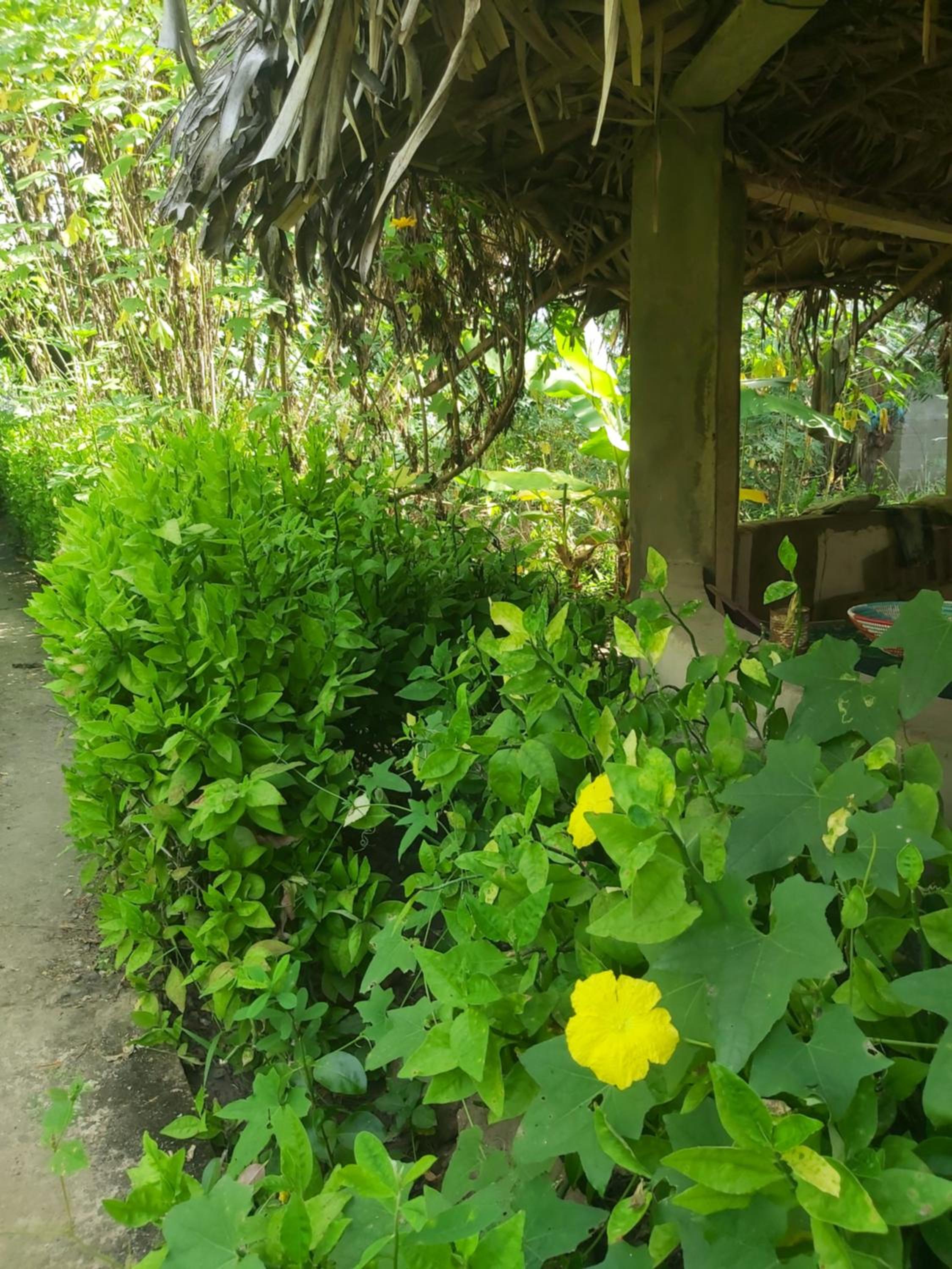 Photo 11