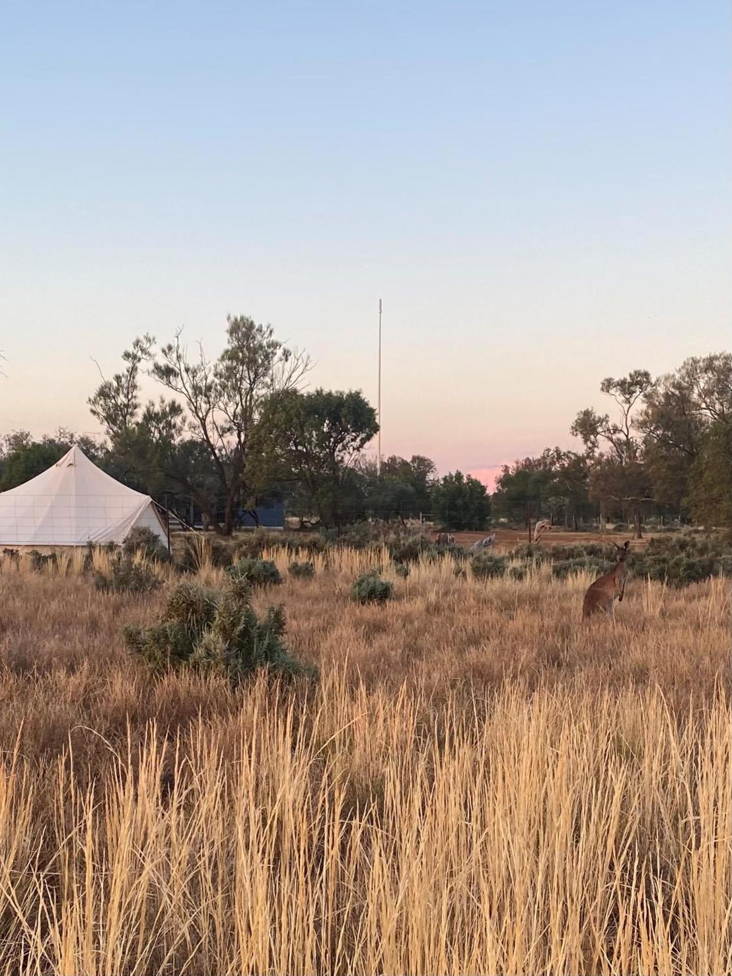 Mungo Lodge