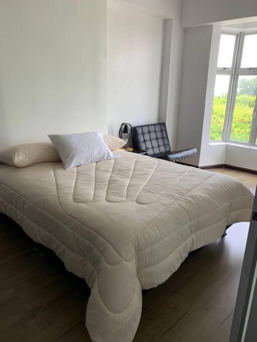 Cozy Nest Hideaway Studio Apartment photo 3