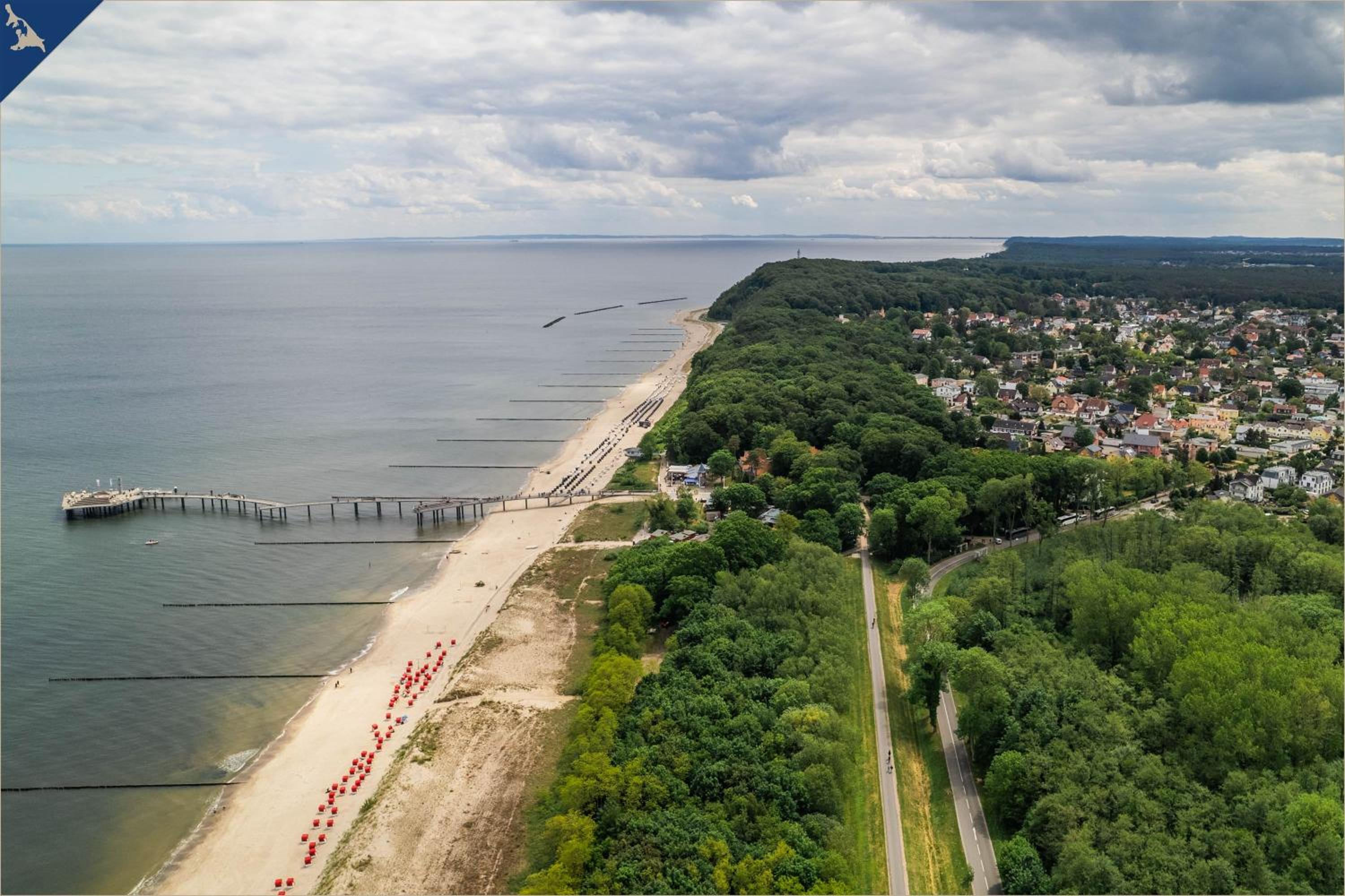 Paul-Kühne-Str 4 Tintenfisch