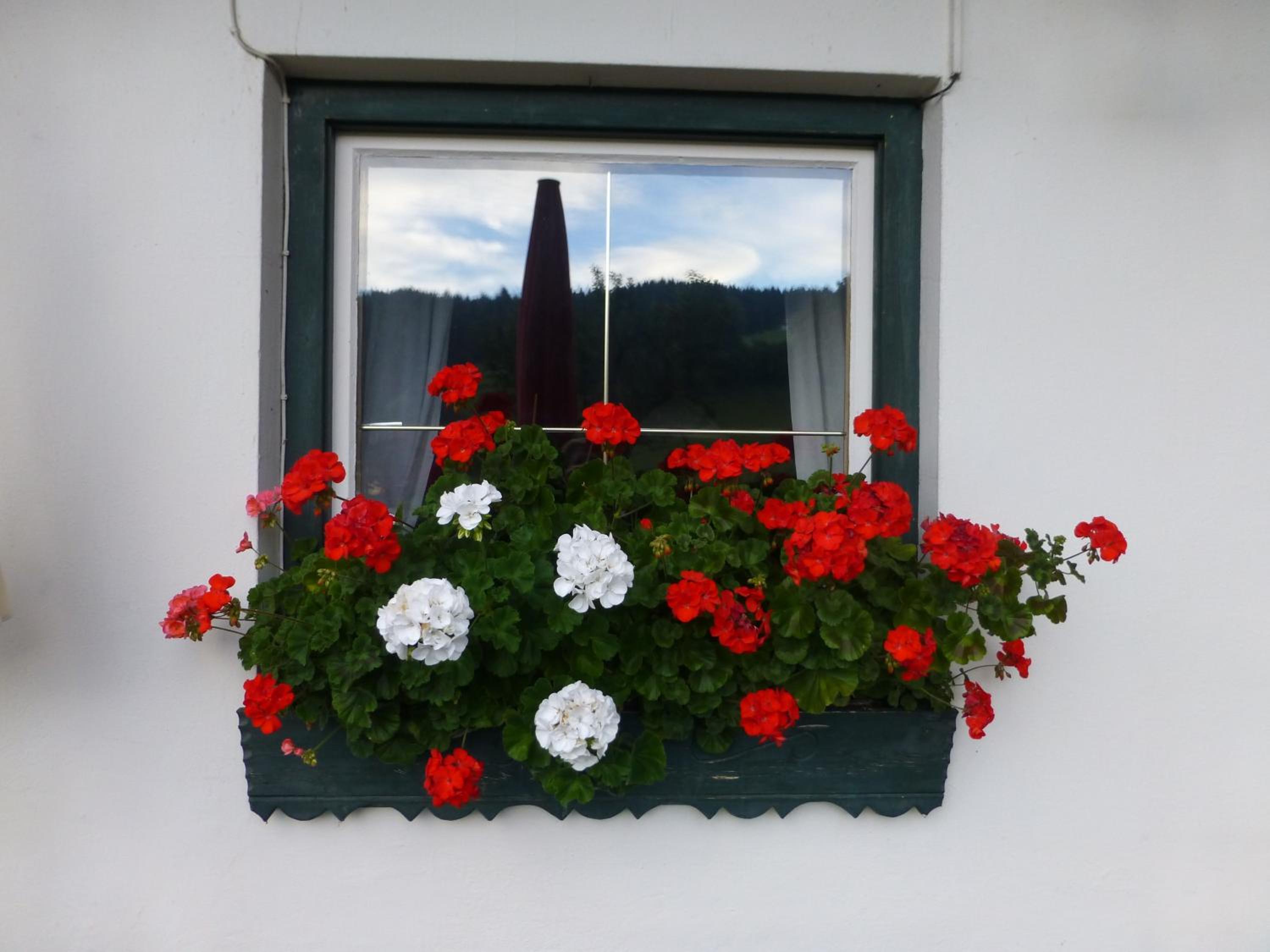 Erlebnisgut & Reiterhof Oberhabach
