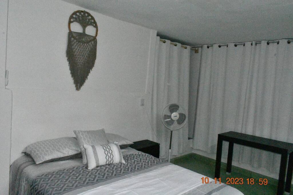 Photo 42