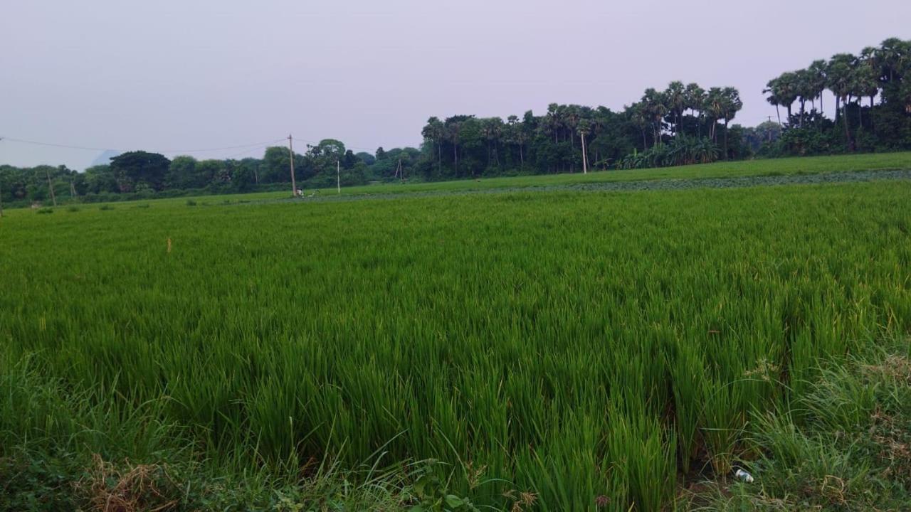 Ekant Farm house view 2