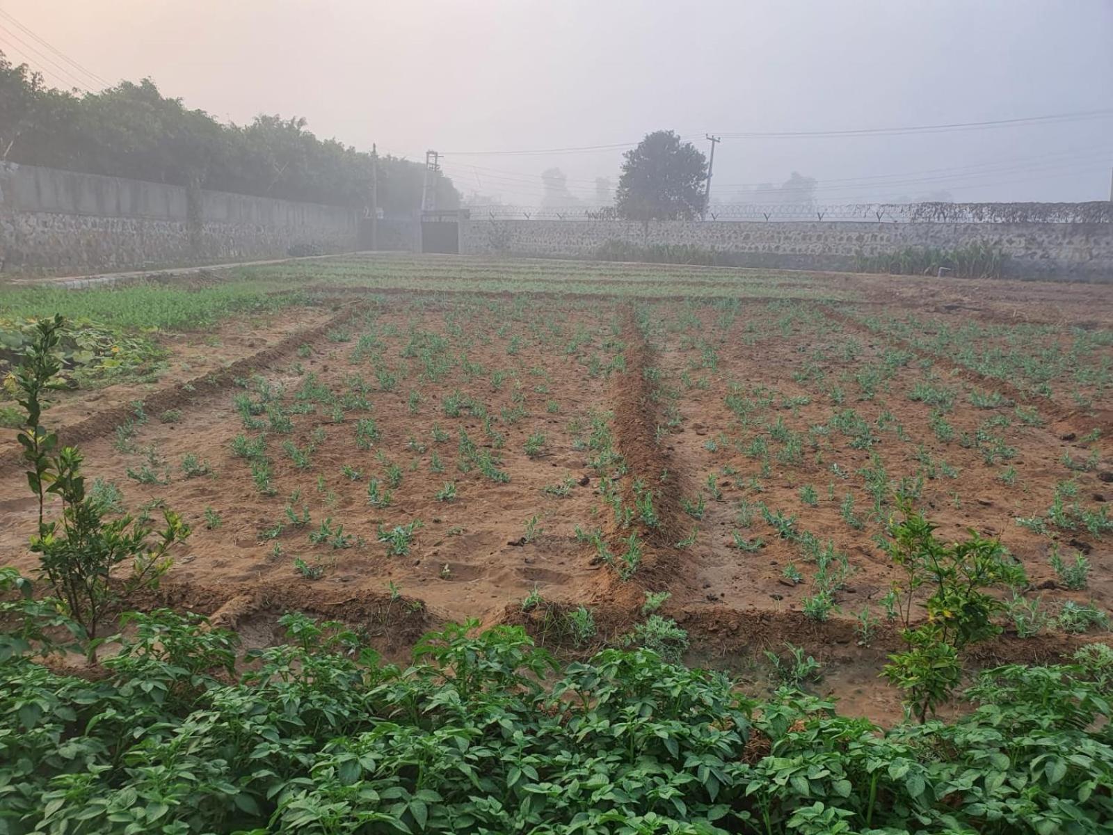 Ekant Farm house view 3