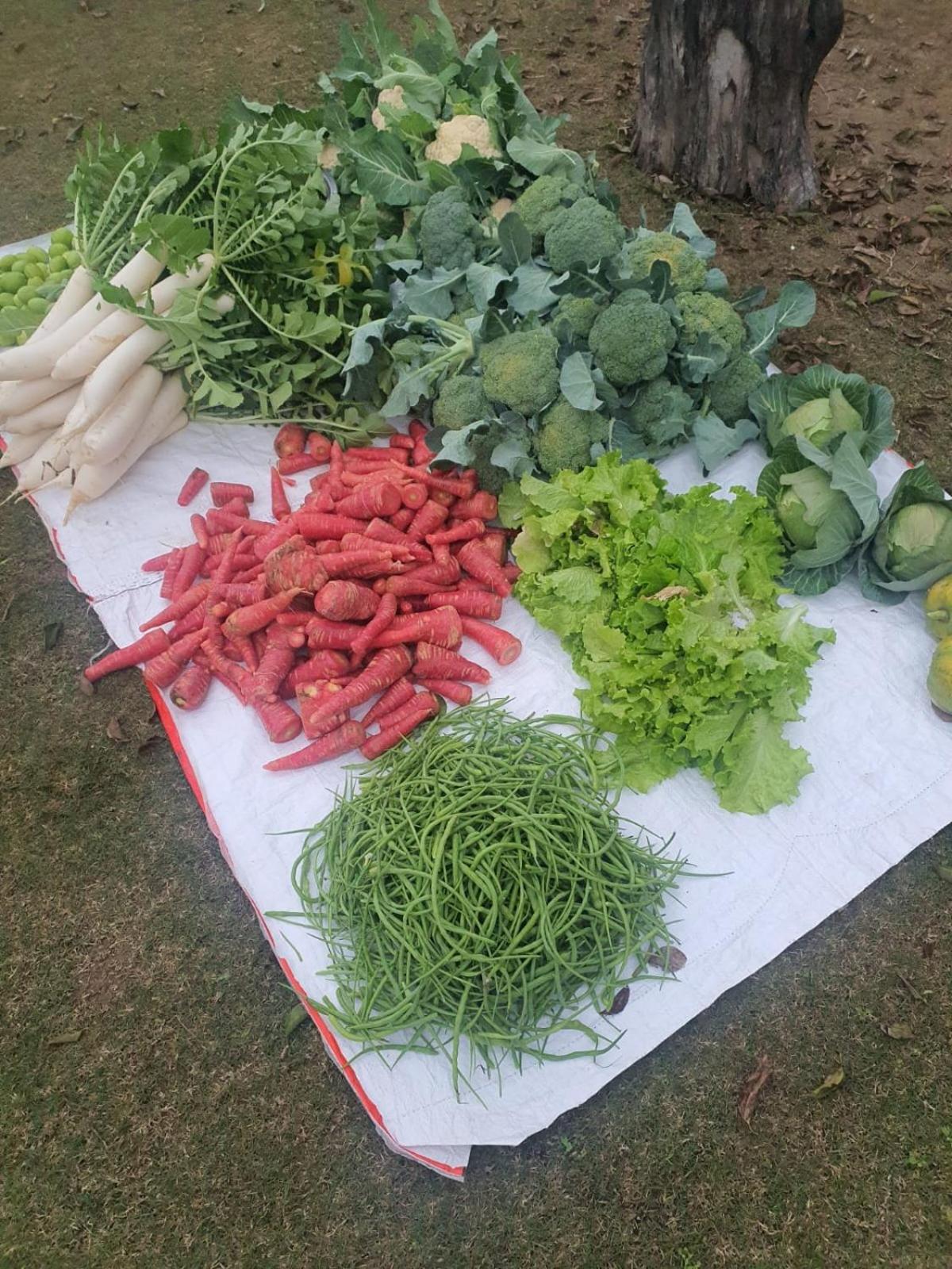 Ekant Farm house view 4