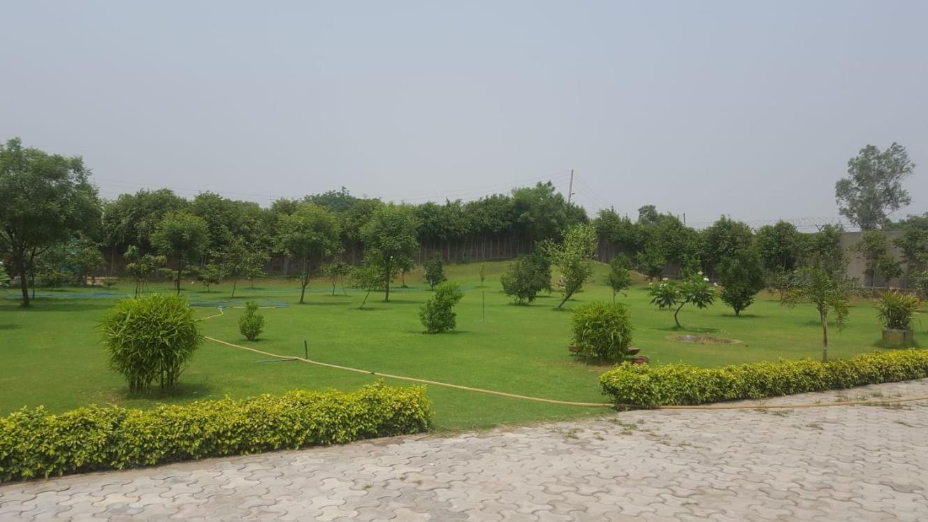 Photo 41