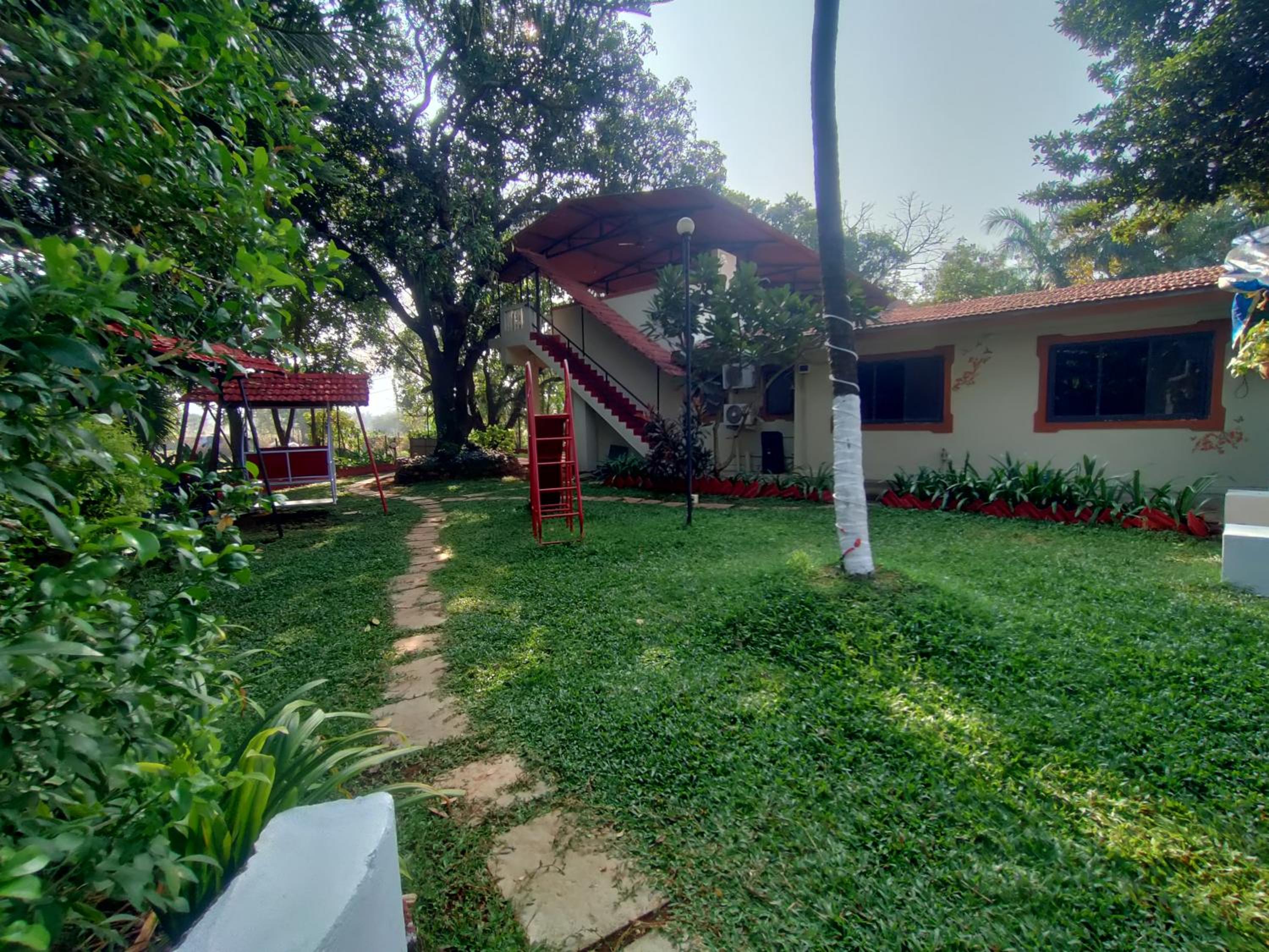Photo 19