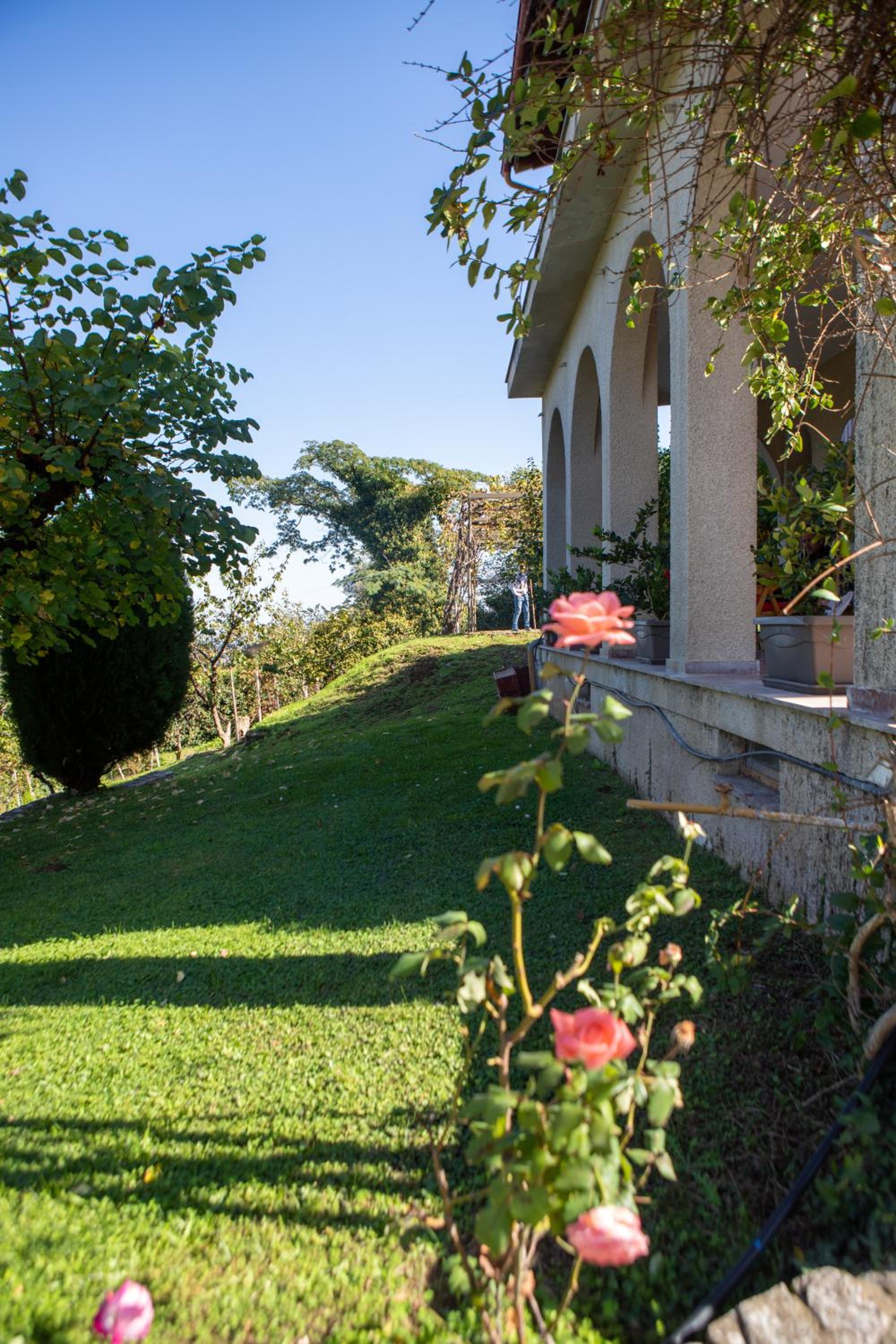 All Seasons Guest House view 5