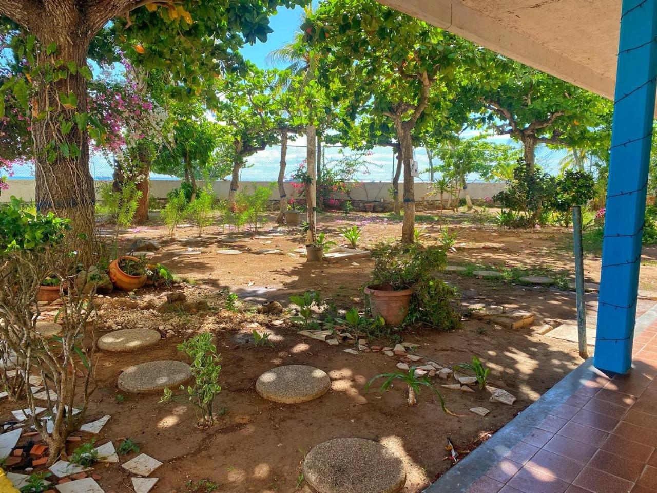 Suite Coco CarIbe con Doccia Vista Mare view 2