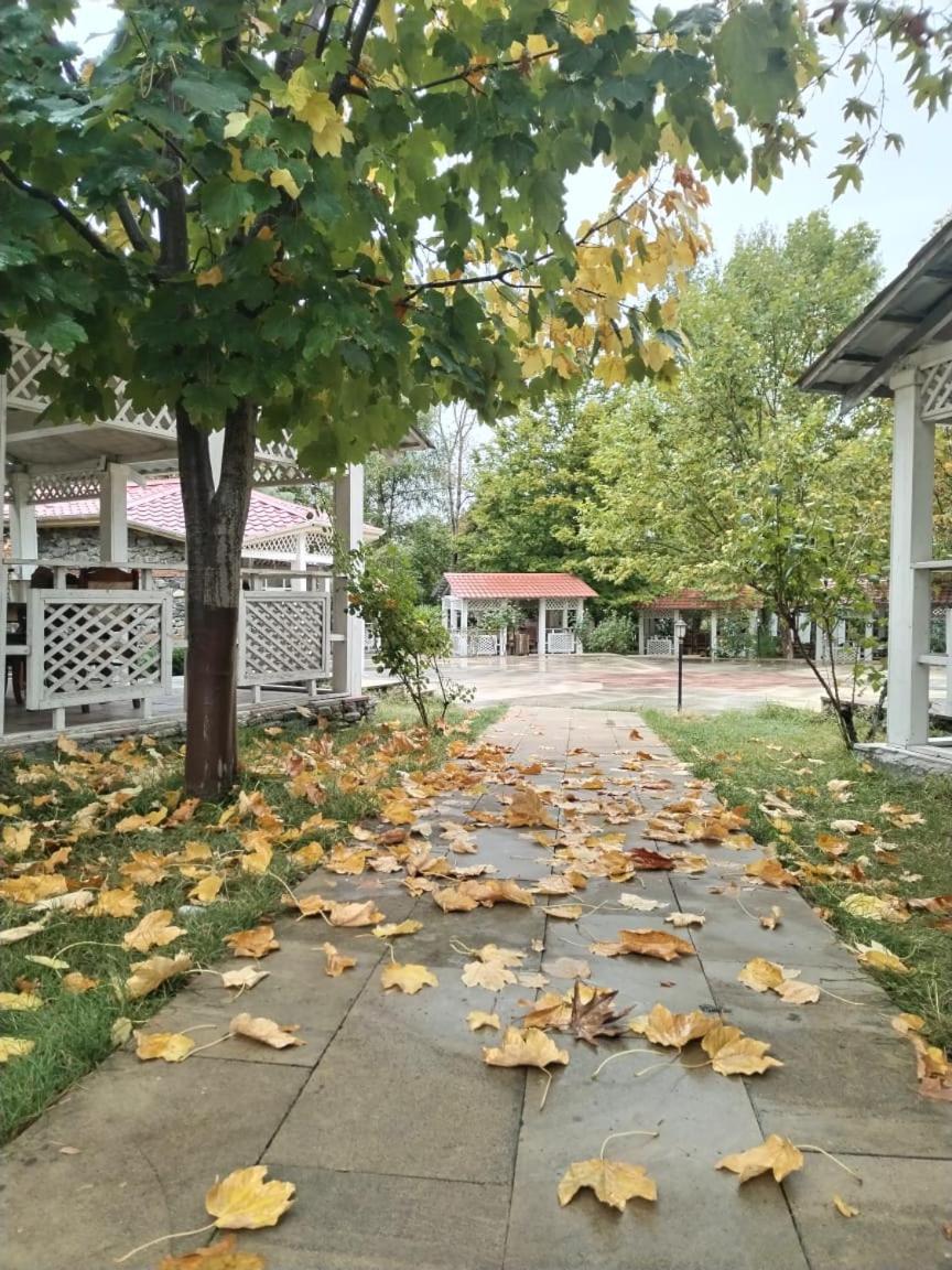 Gabala Semerana Riverside Hotel