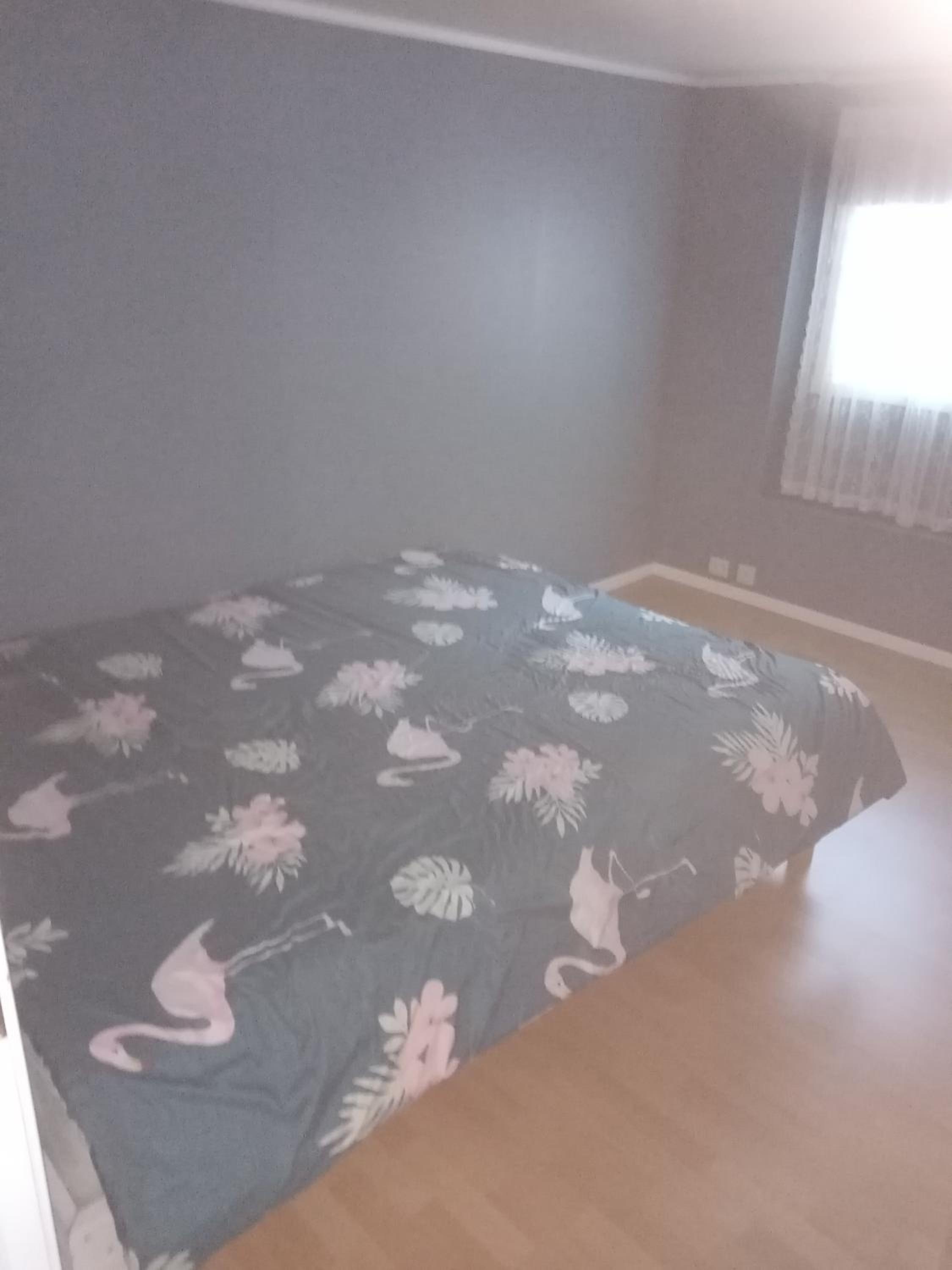 Apartamentai arti ALNES