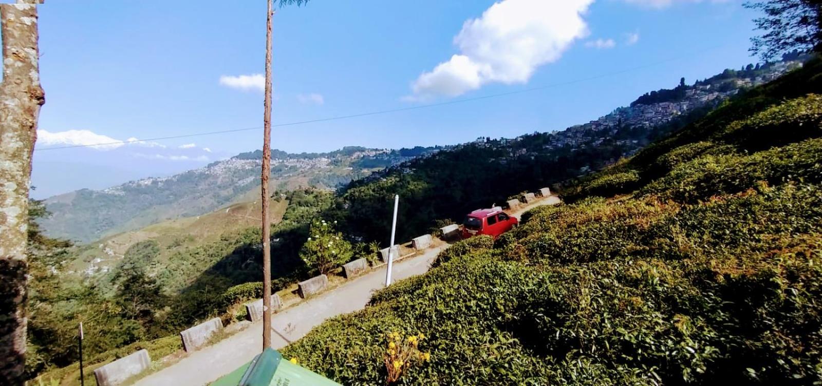 Pinewood Homestay