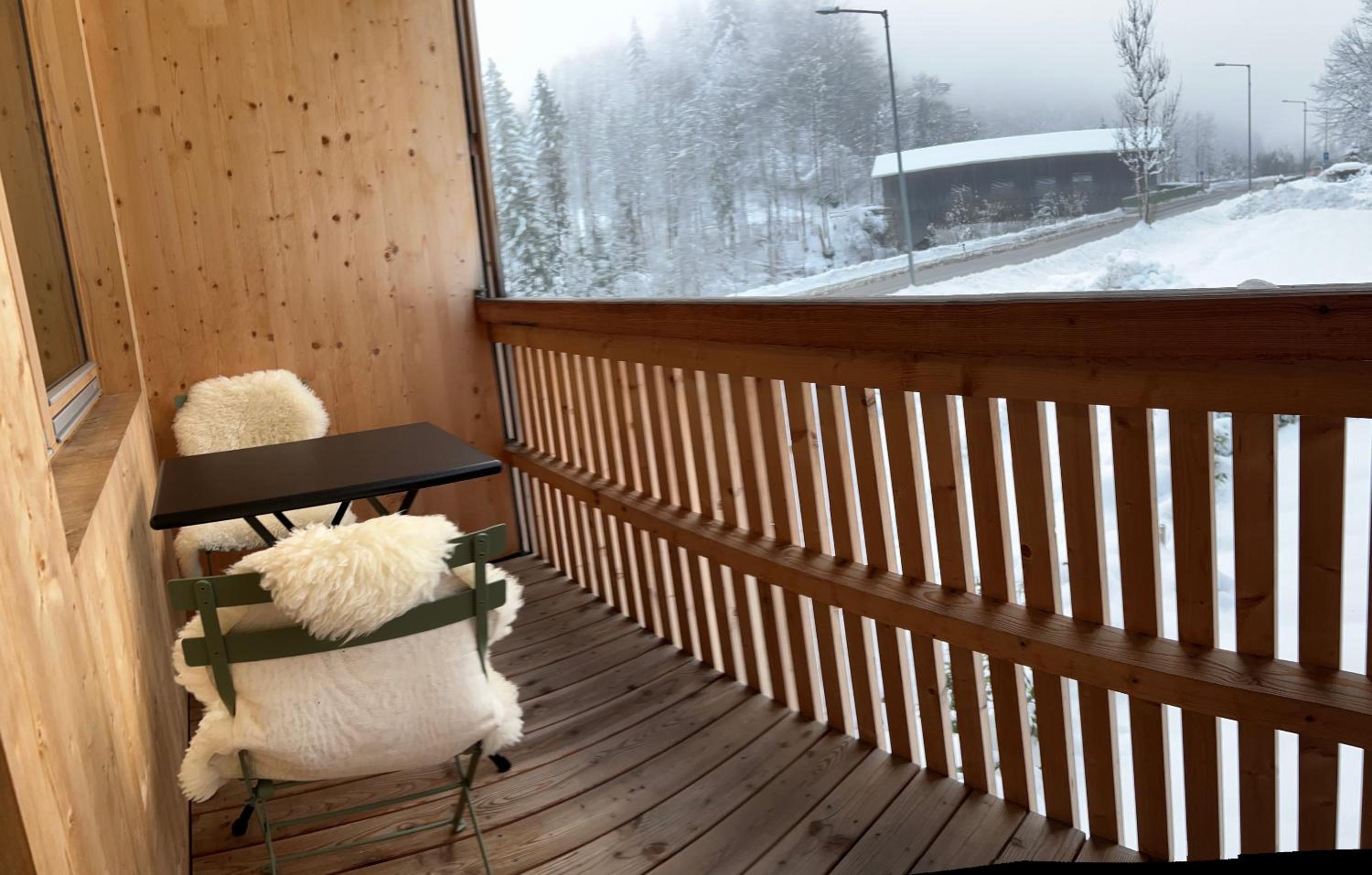 Apartment Eiler - Mellau