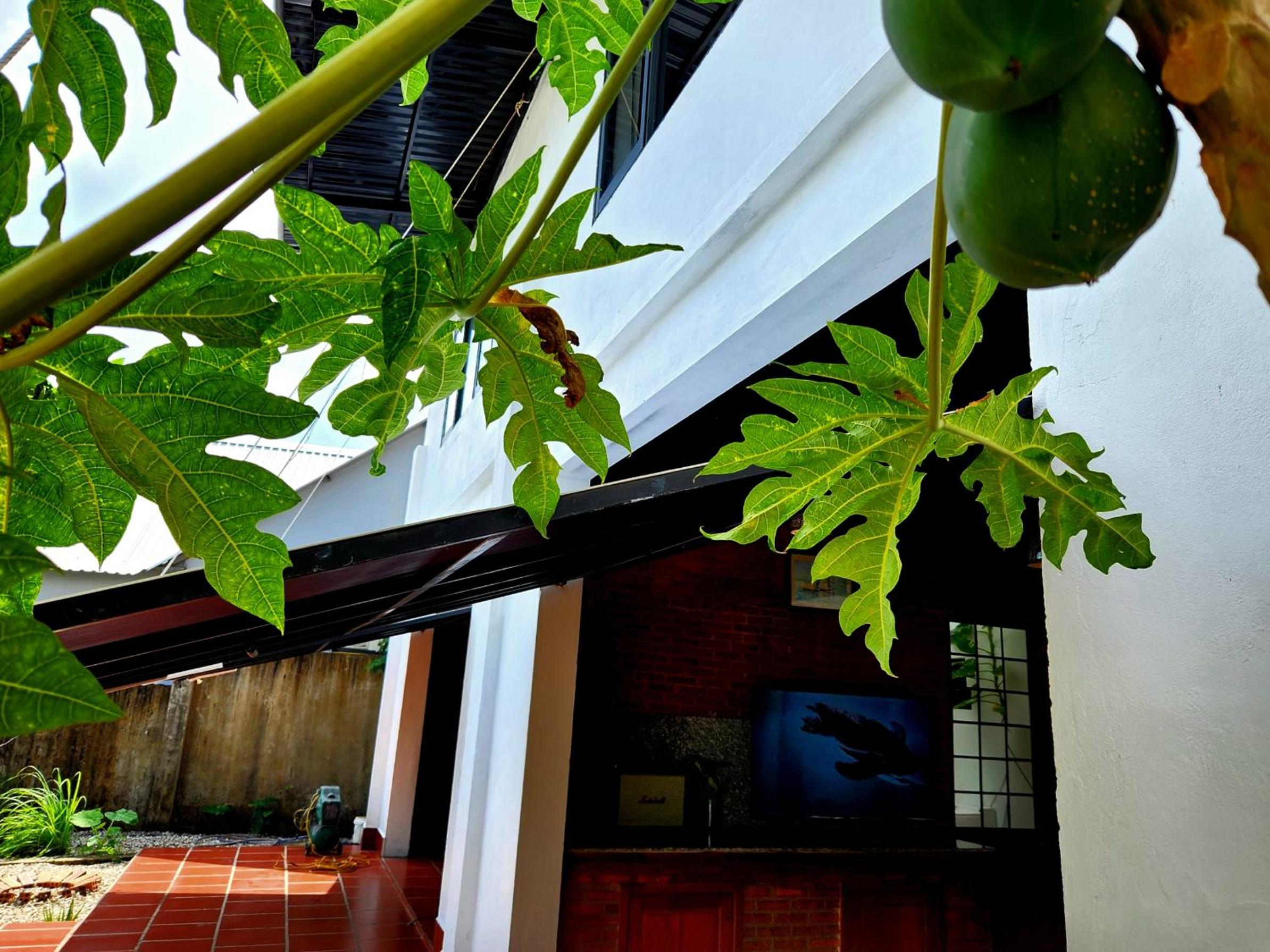 Mi Amor Vacation Home - A Private Big House with 2 separate Bedrooms, Central Location, Fully Furnished, Only 5 Minutes To The Beach view 5