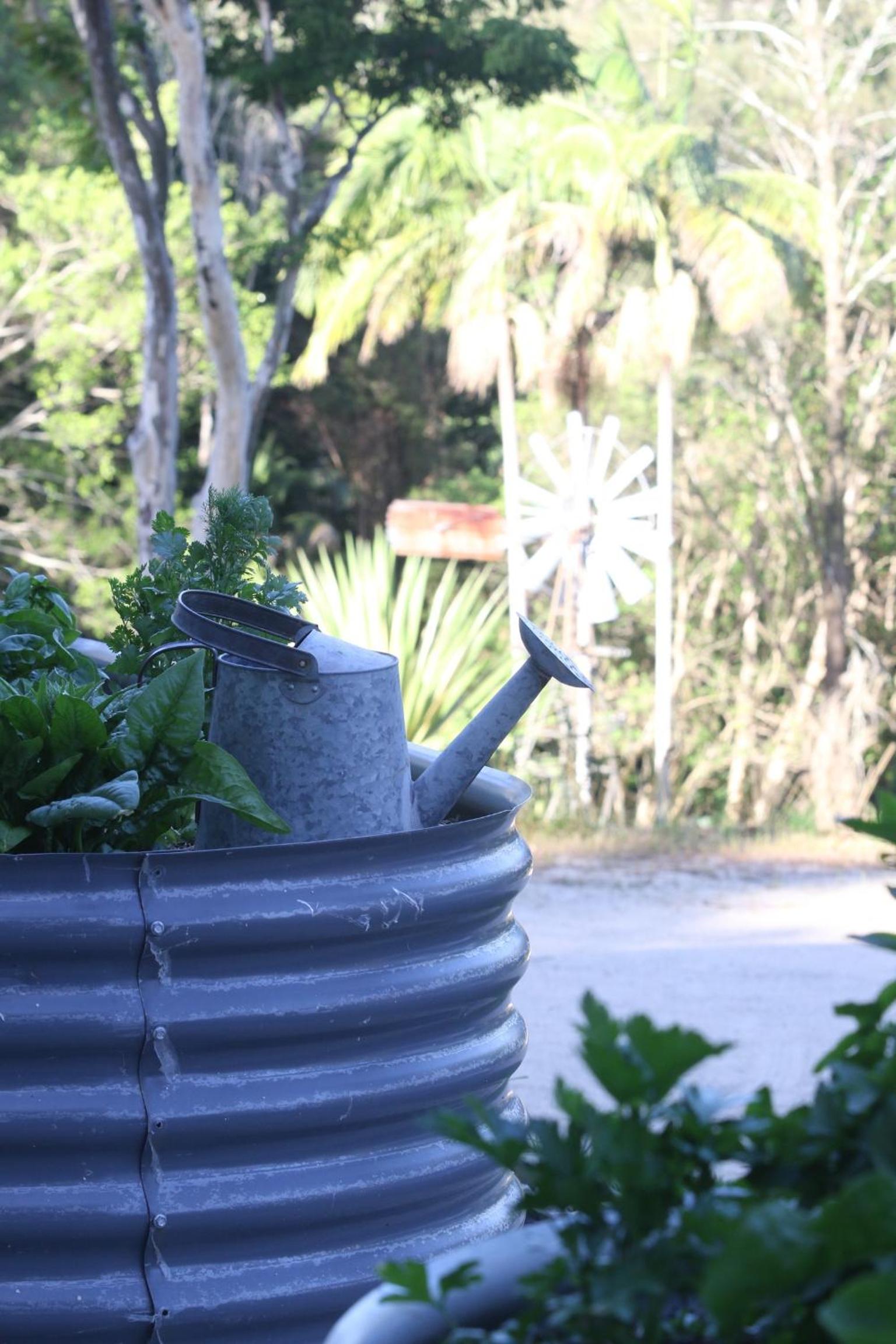 The Pottery Shed