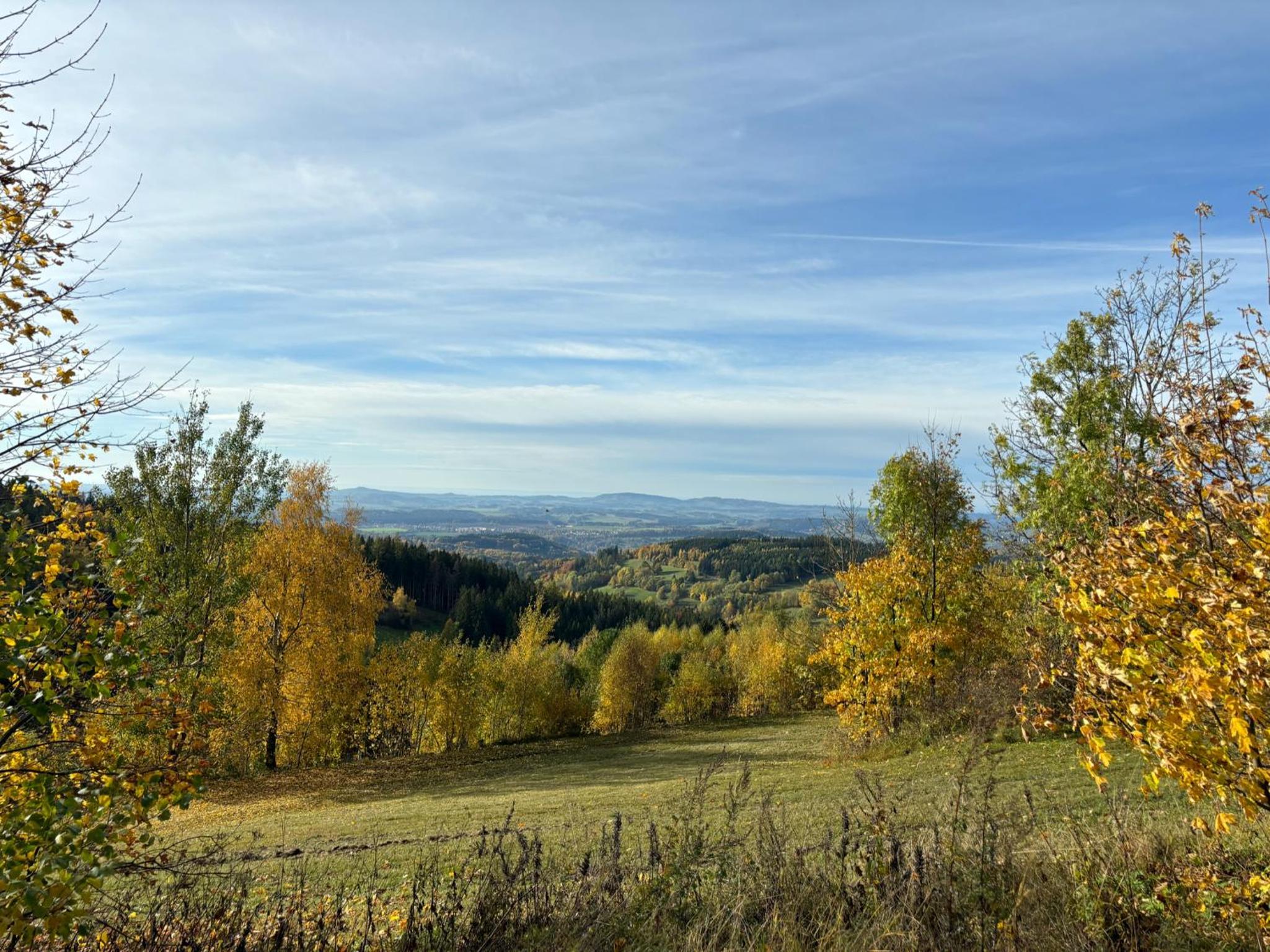 ApartBene