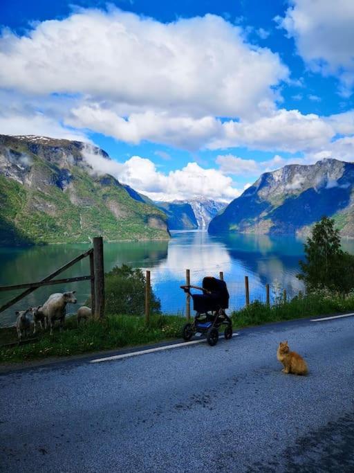 Aurlandsfjord Panorama view 2