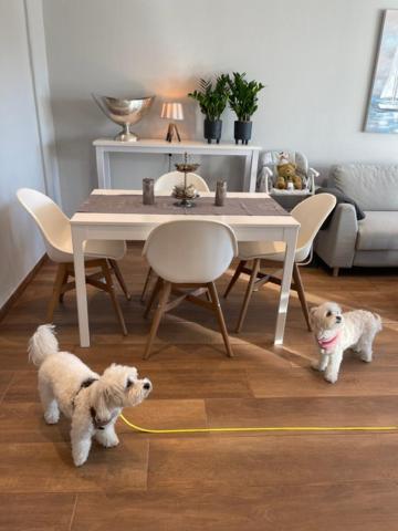 2 Zi Sonnenwohnung mit Luxusküche in der Maritim Residenz Bellevue an der Ostsee in Kiel City