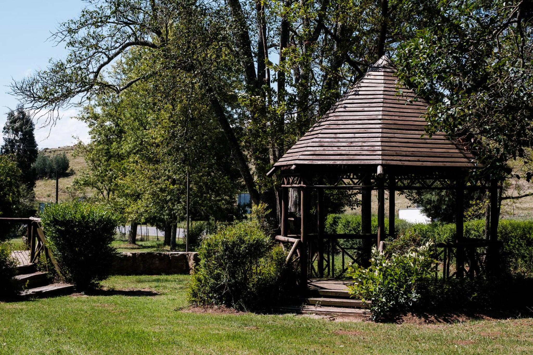 Photo 47
