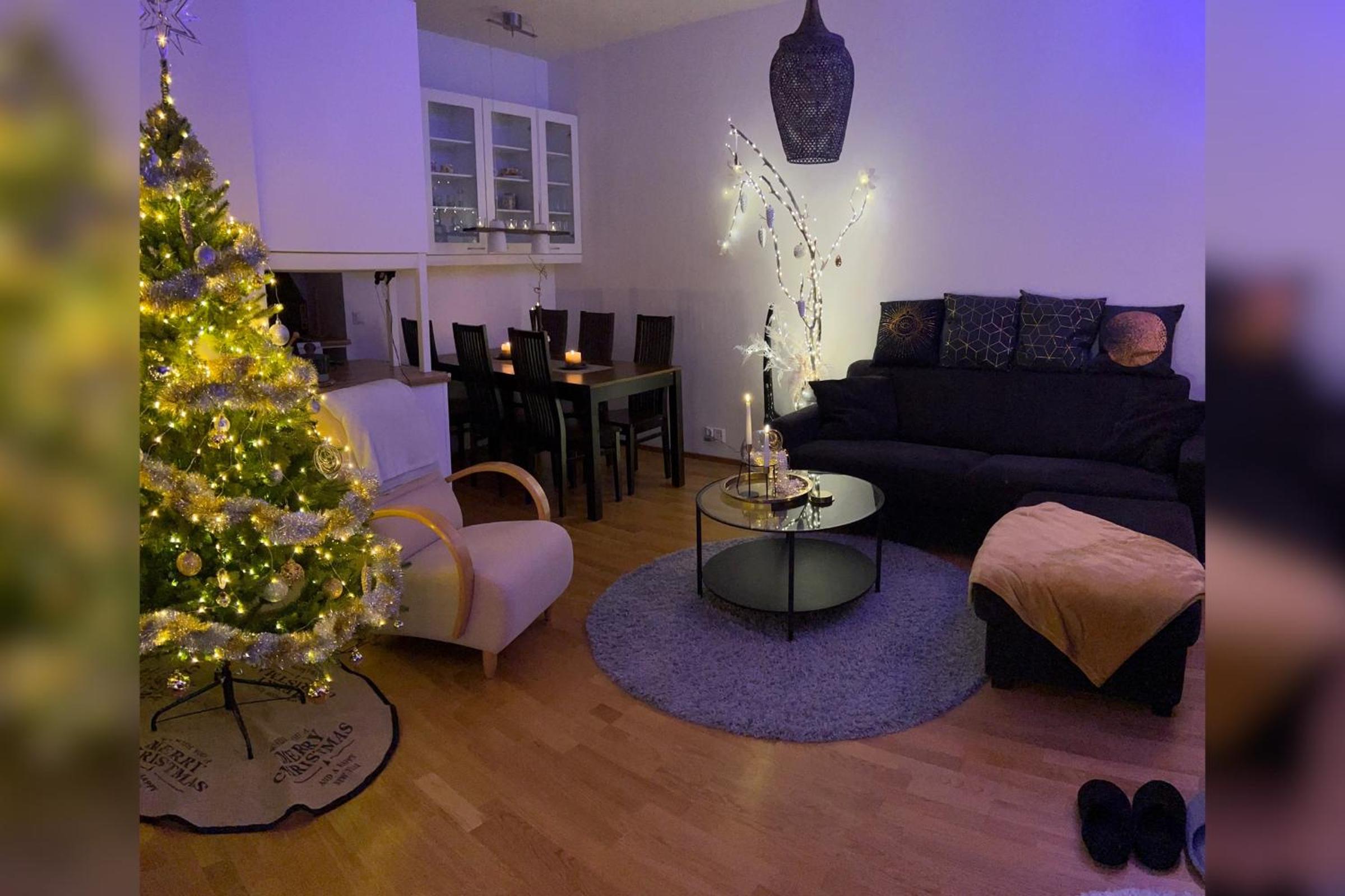 Lapland city apartment