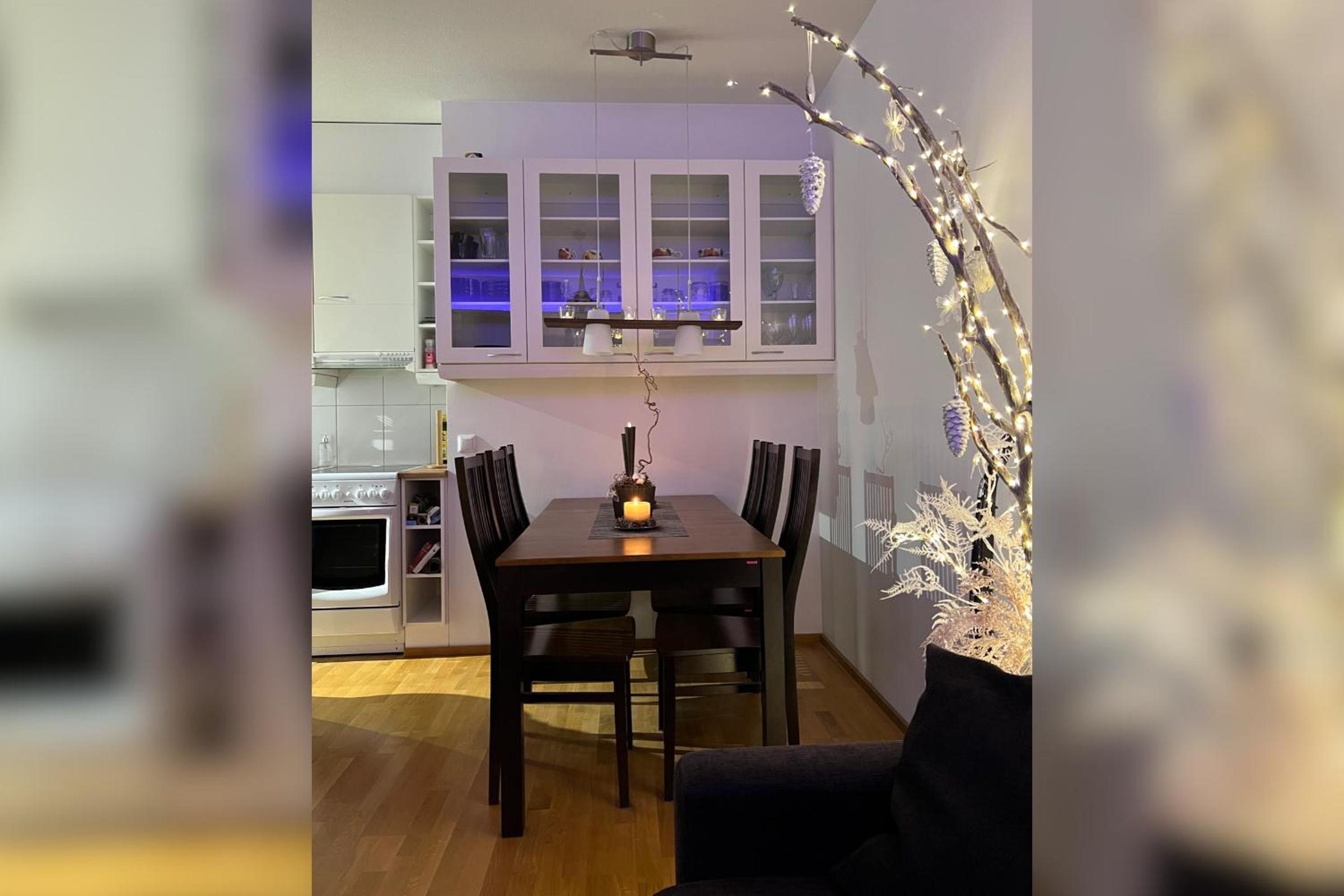 Lapland city apartment