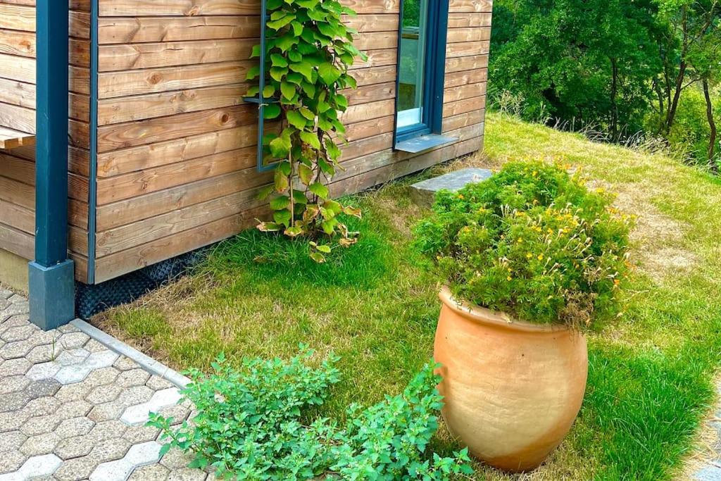 Tinyhouse Minimalus Panorama Schlafloft im Grünen