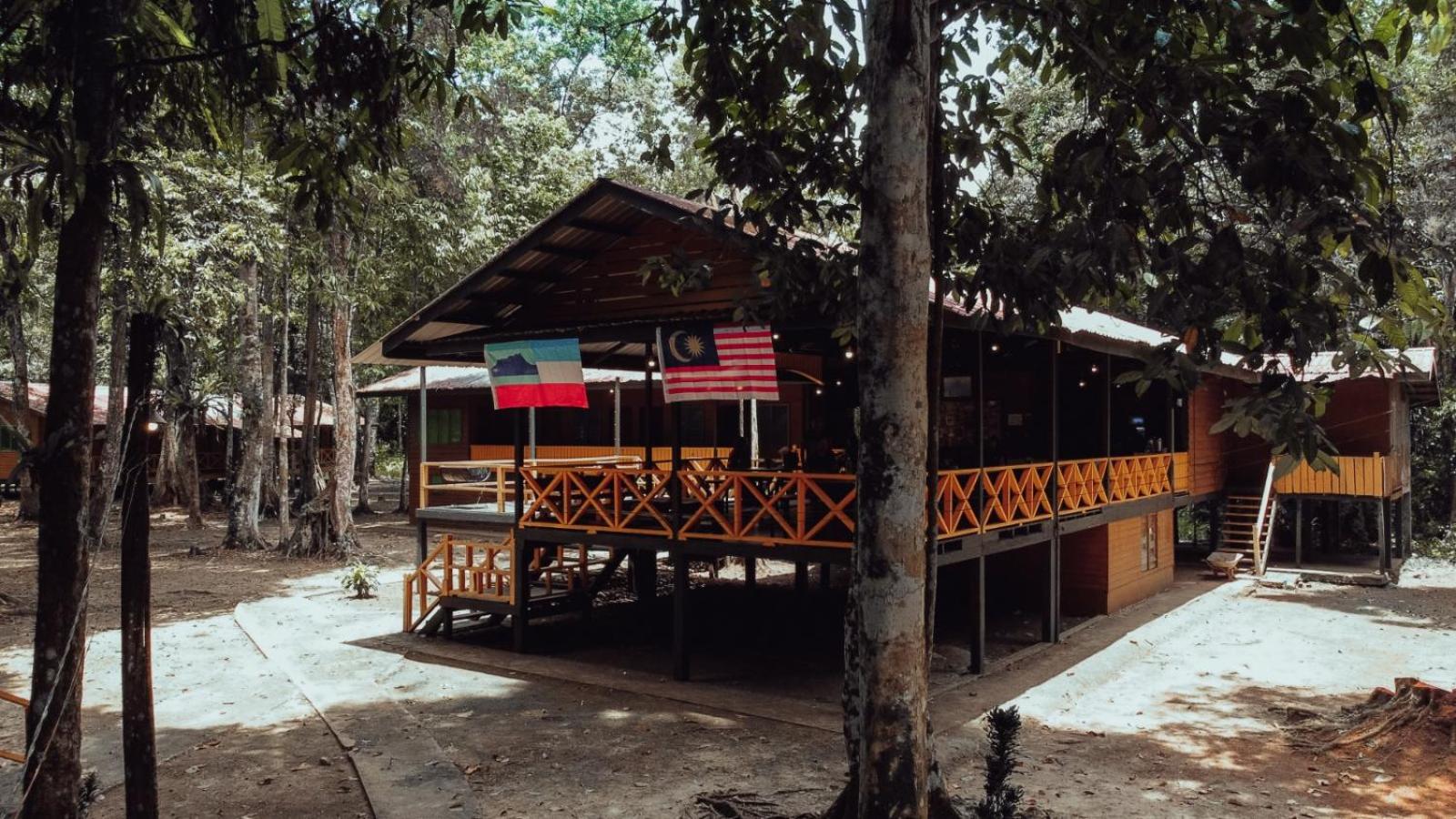 Borneo Jungle Adventure photo 2
