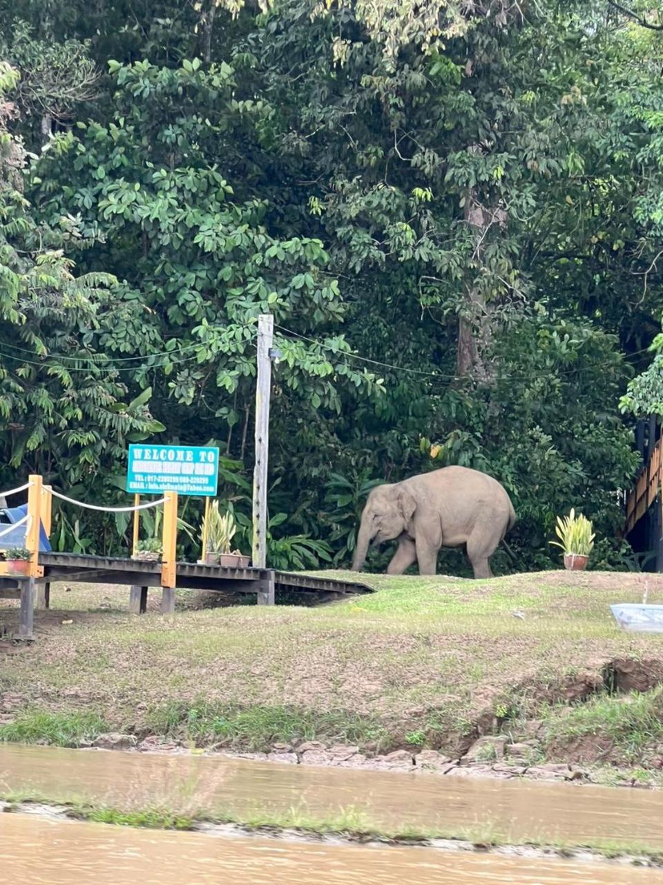 Borneo Jungle Adventure photo 4