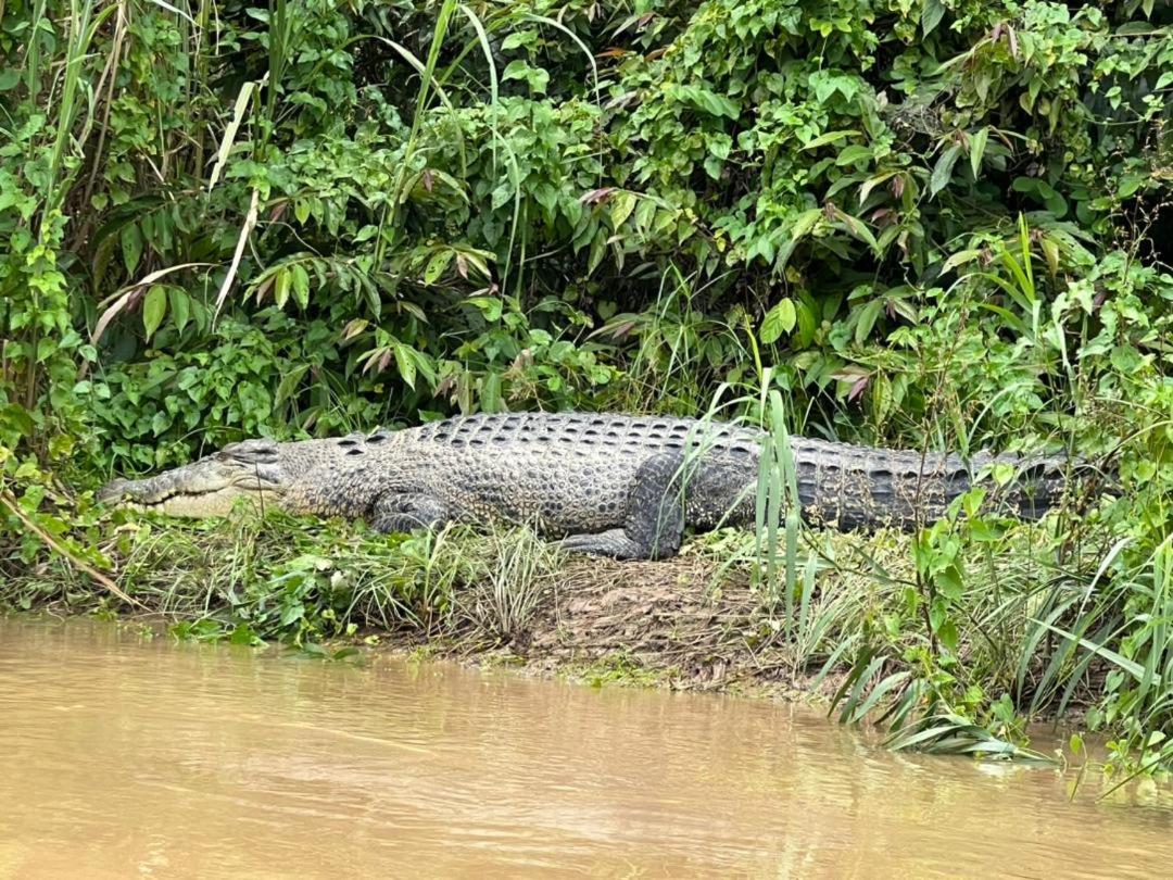 Borneo Jungle Adventure photo 6