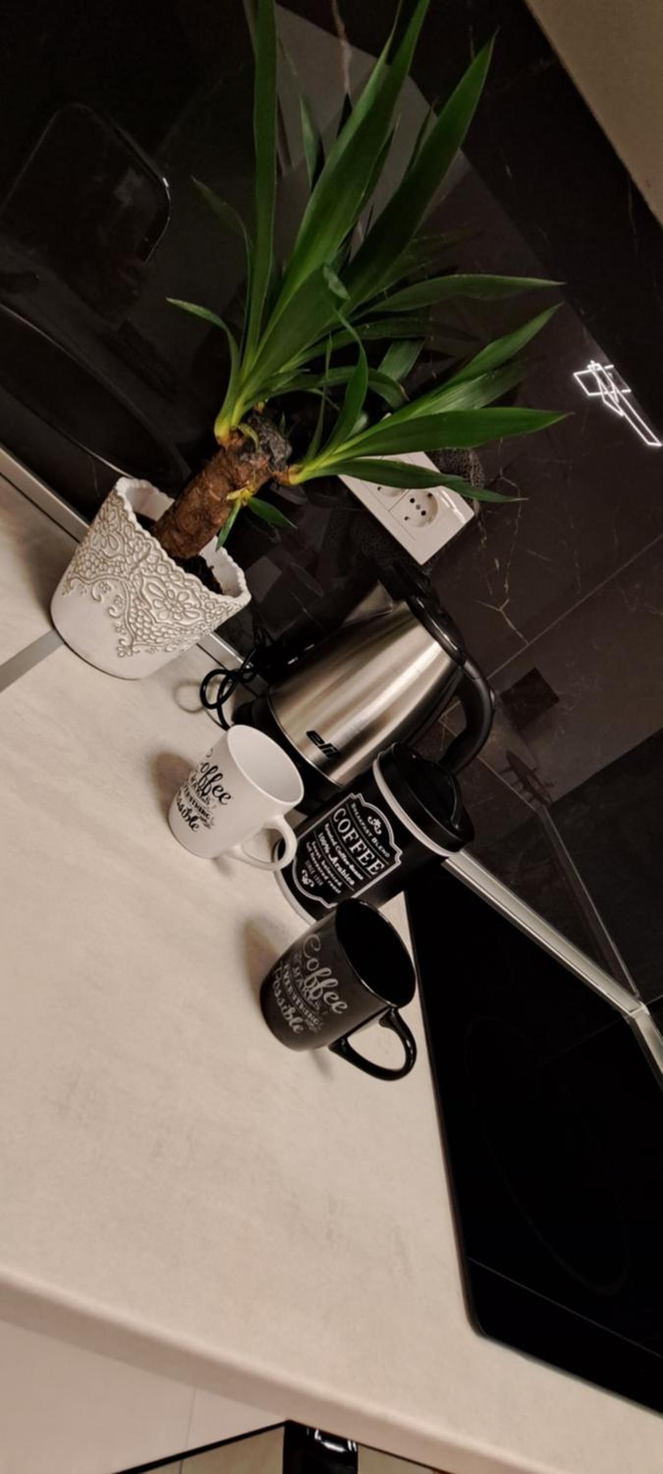 Apartman Kalina