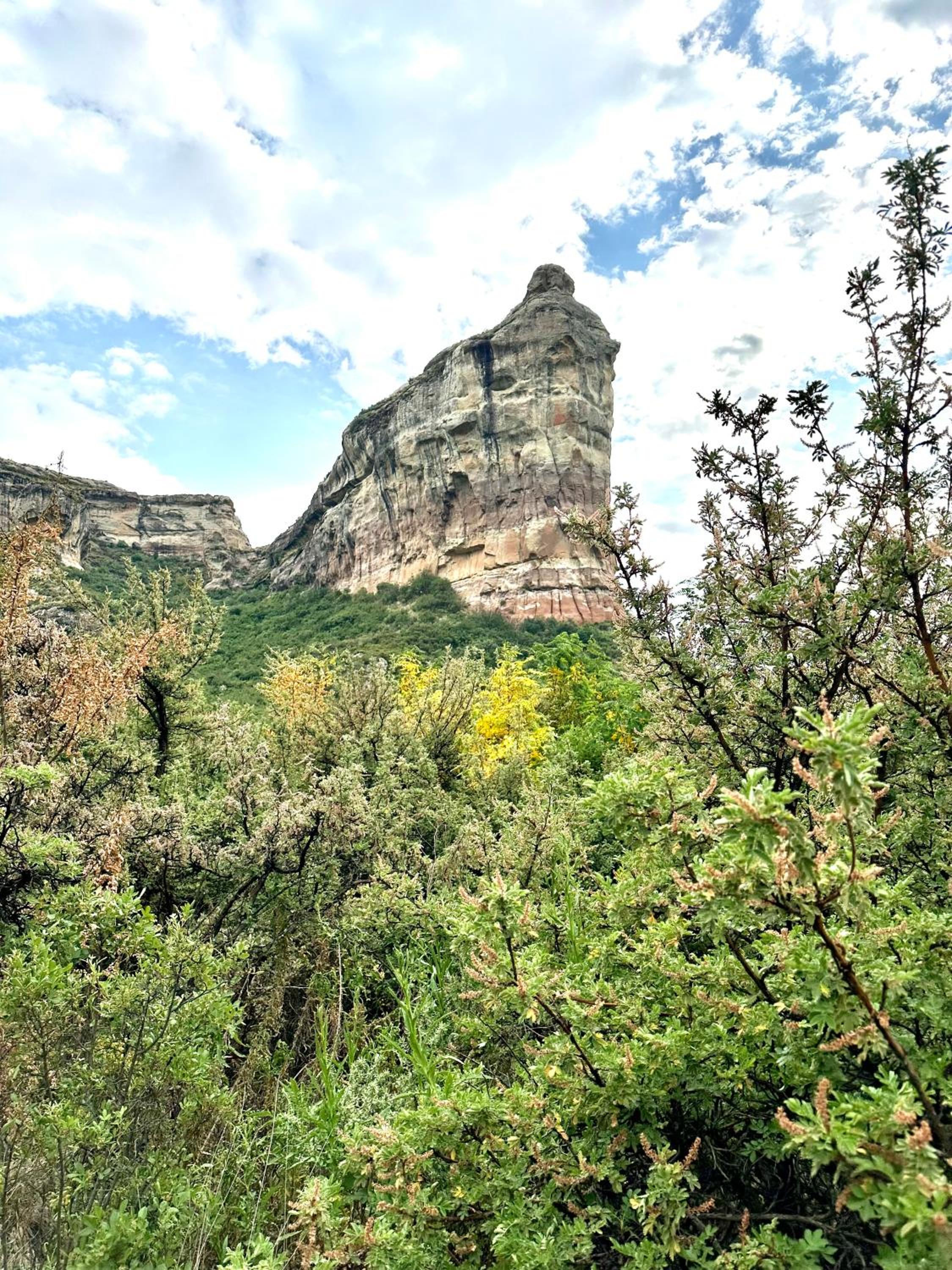 Swiss Chalet Clarens