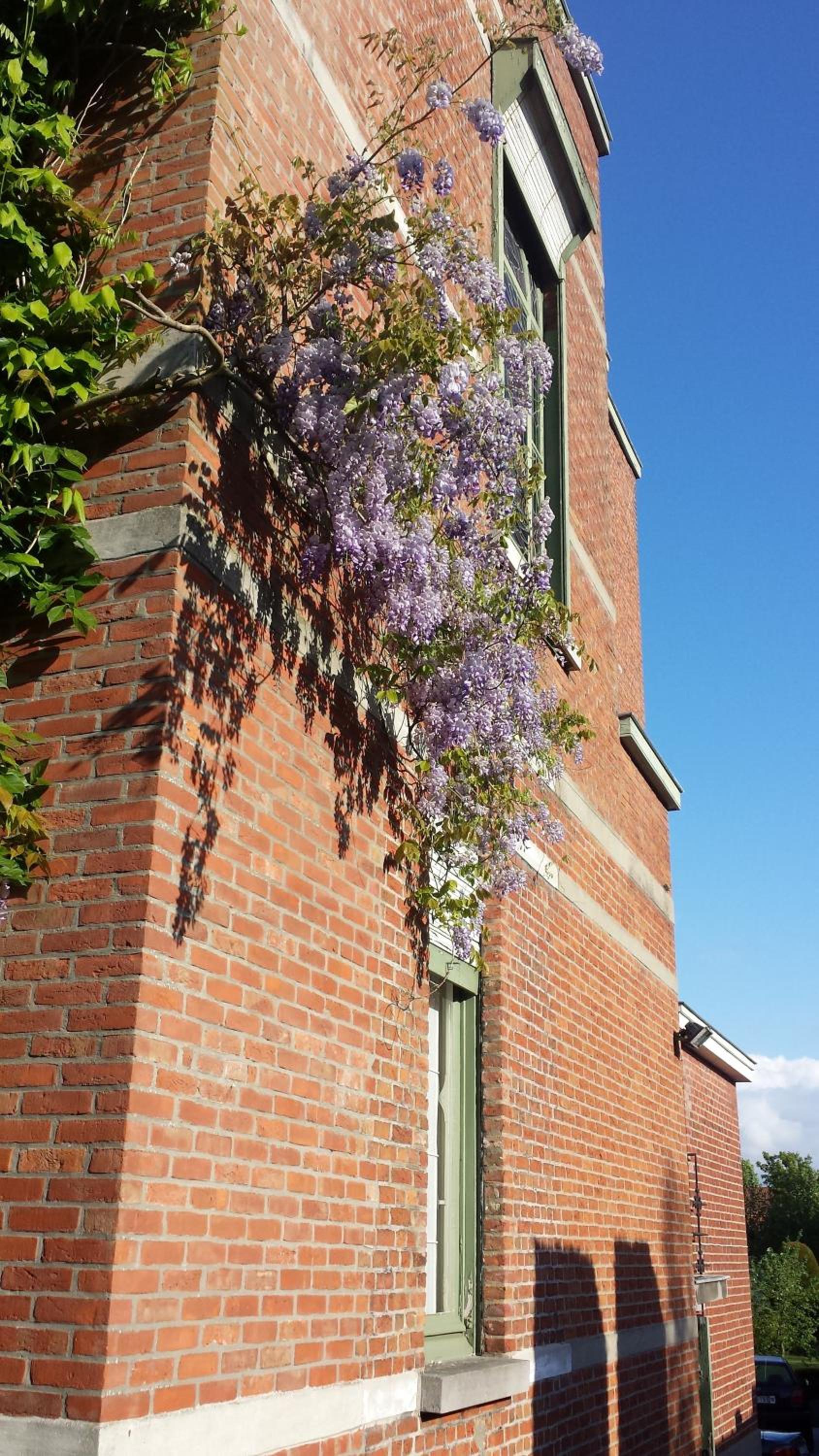 Charming 19th century small castle FINE FLEUR surrounded by quiet garden