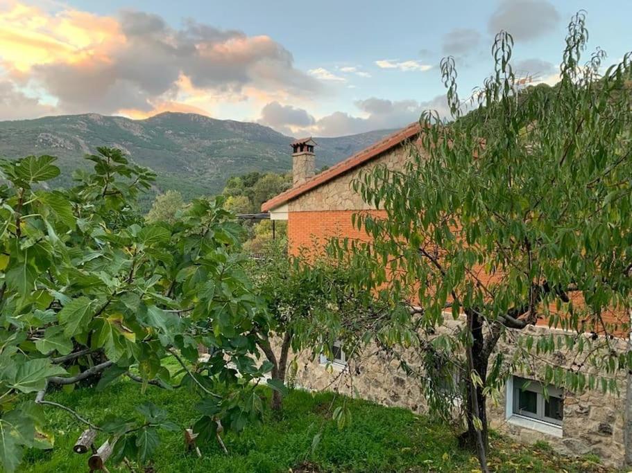 Casa Balta
