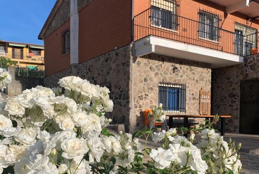 Casa Balta
