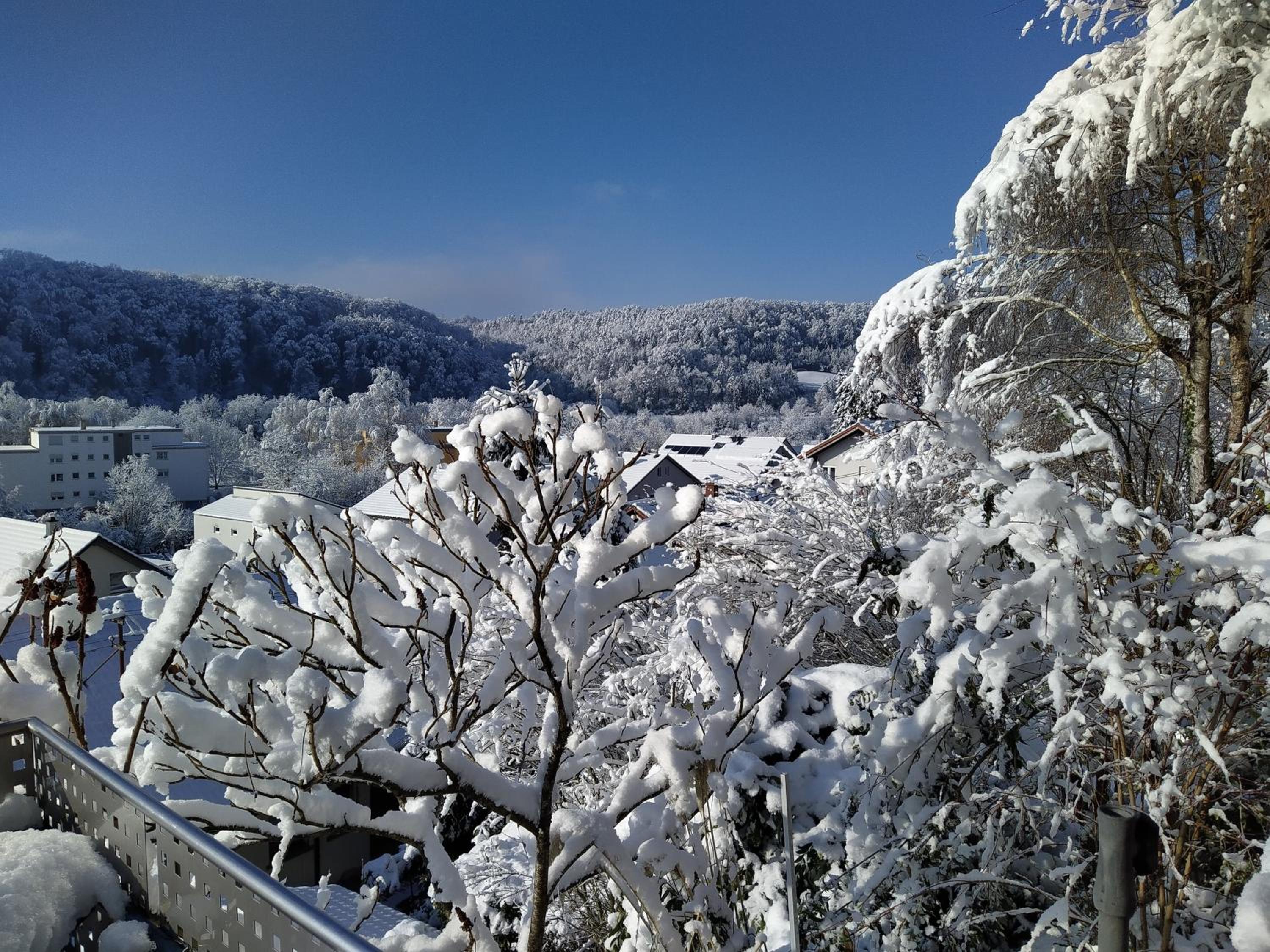 Blick ins Wutachtal