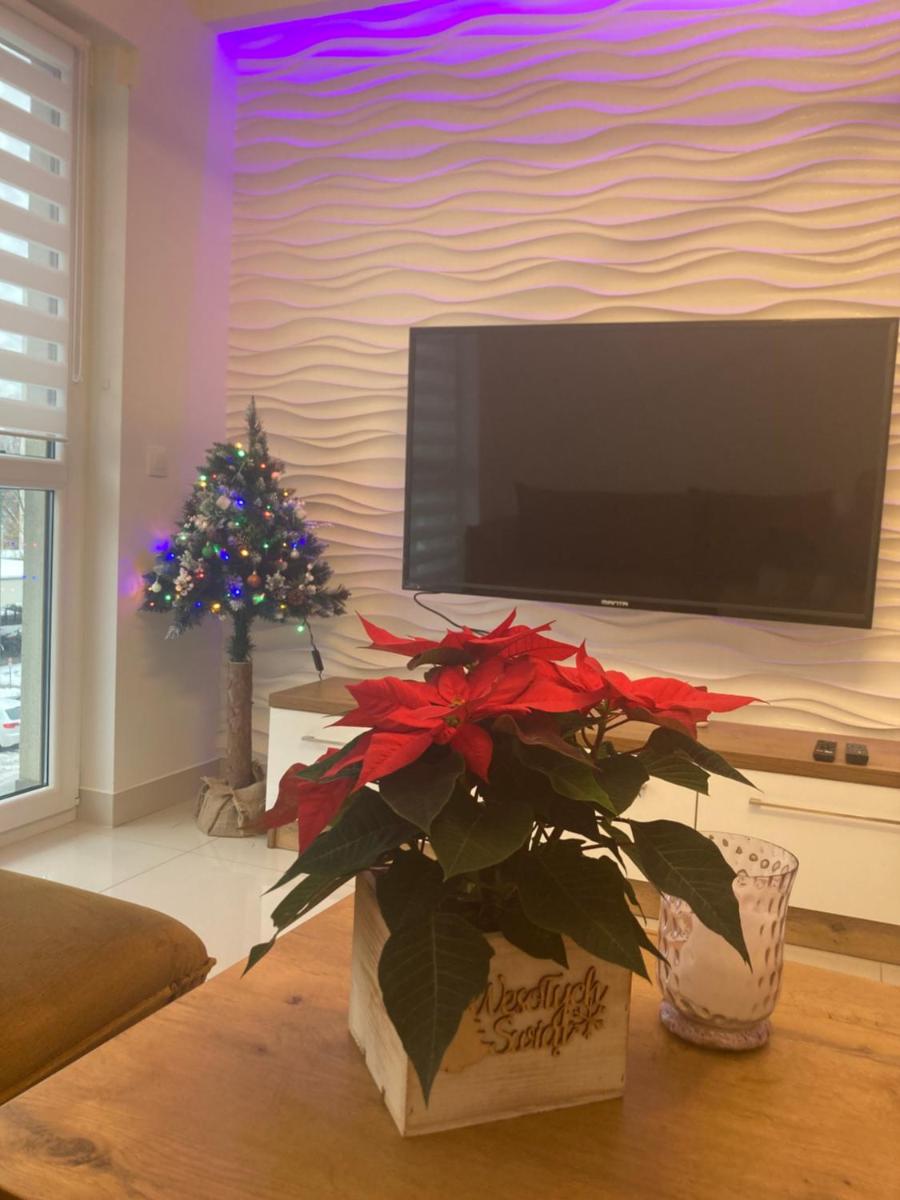 Apartament VIP view 2