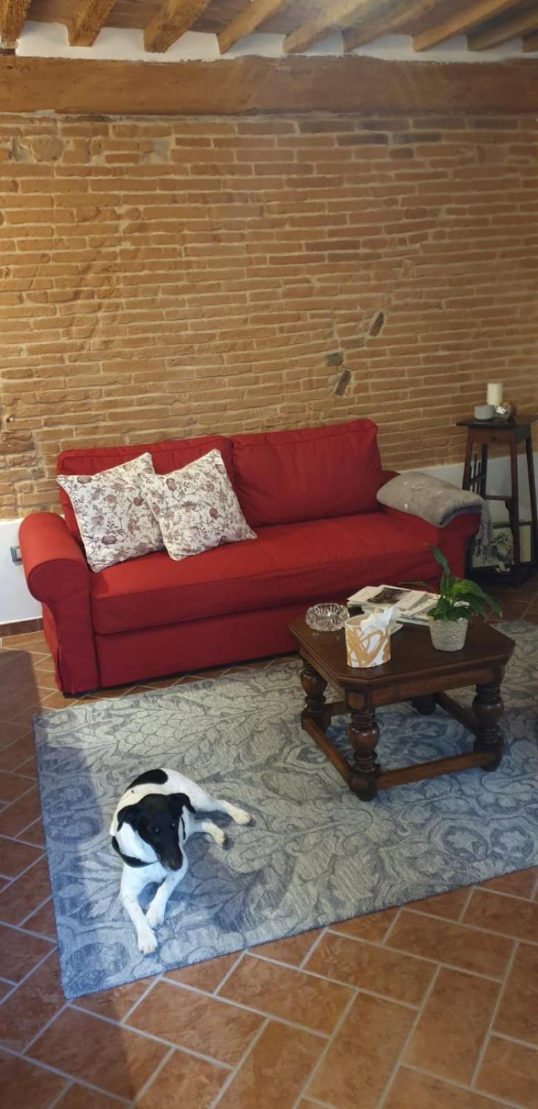 Appartamenti La Rocca photo 4