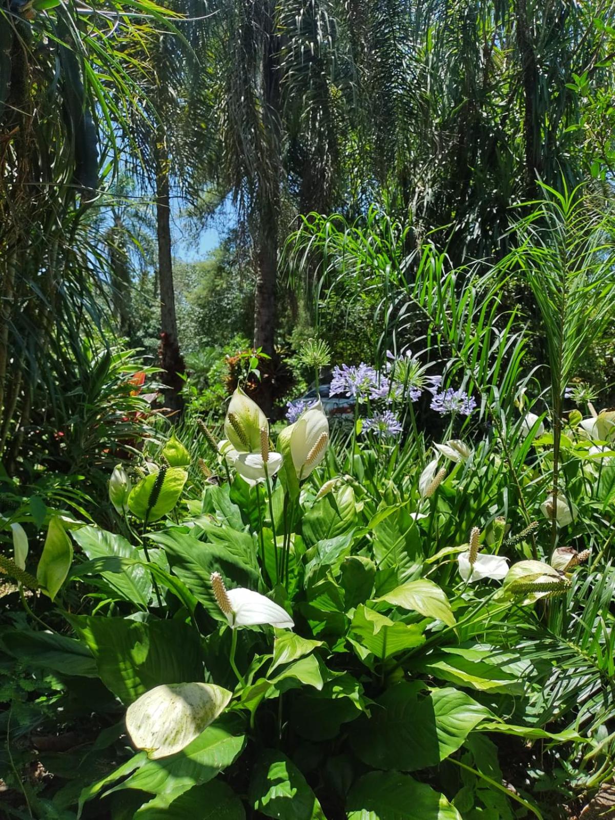 Quinta La calmita Iguazú