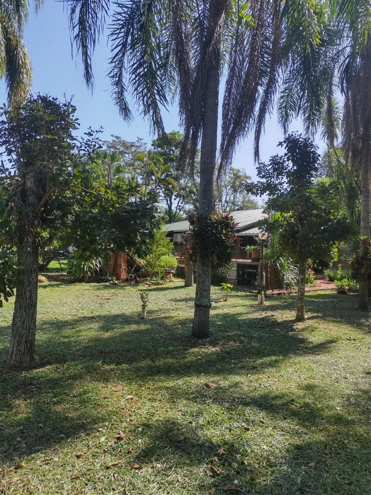 Quinta La calmita Iguazú