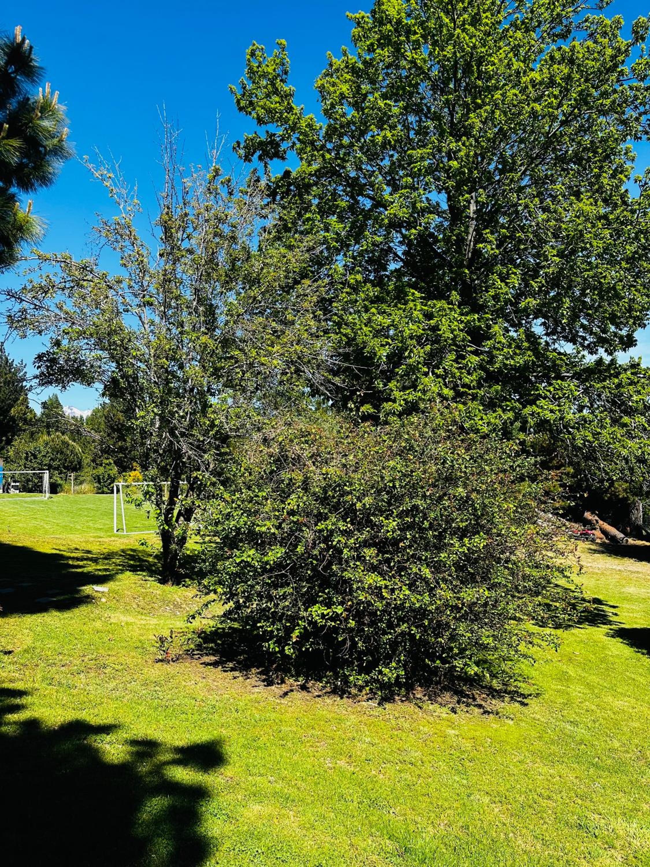 Casa en Bariloche Familiar - R2046