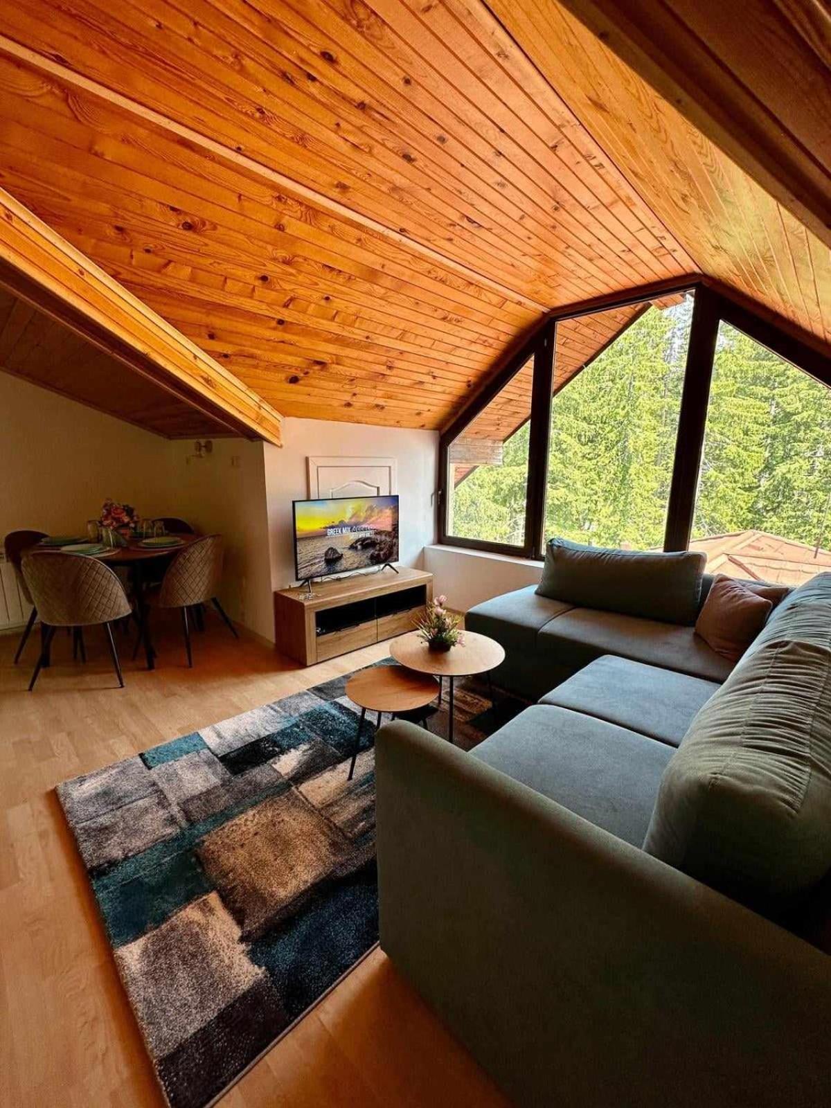Pamporovo Rhodopi Pearl Apartments - Private Apartments