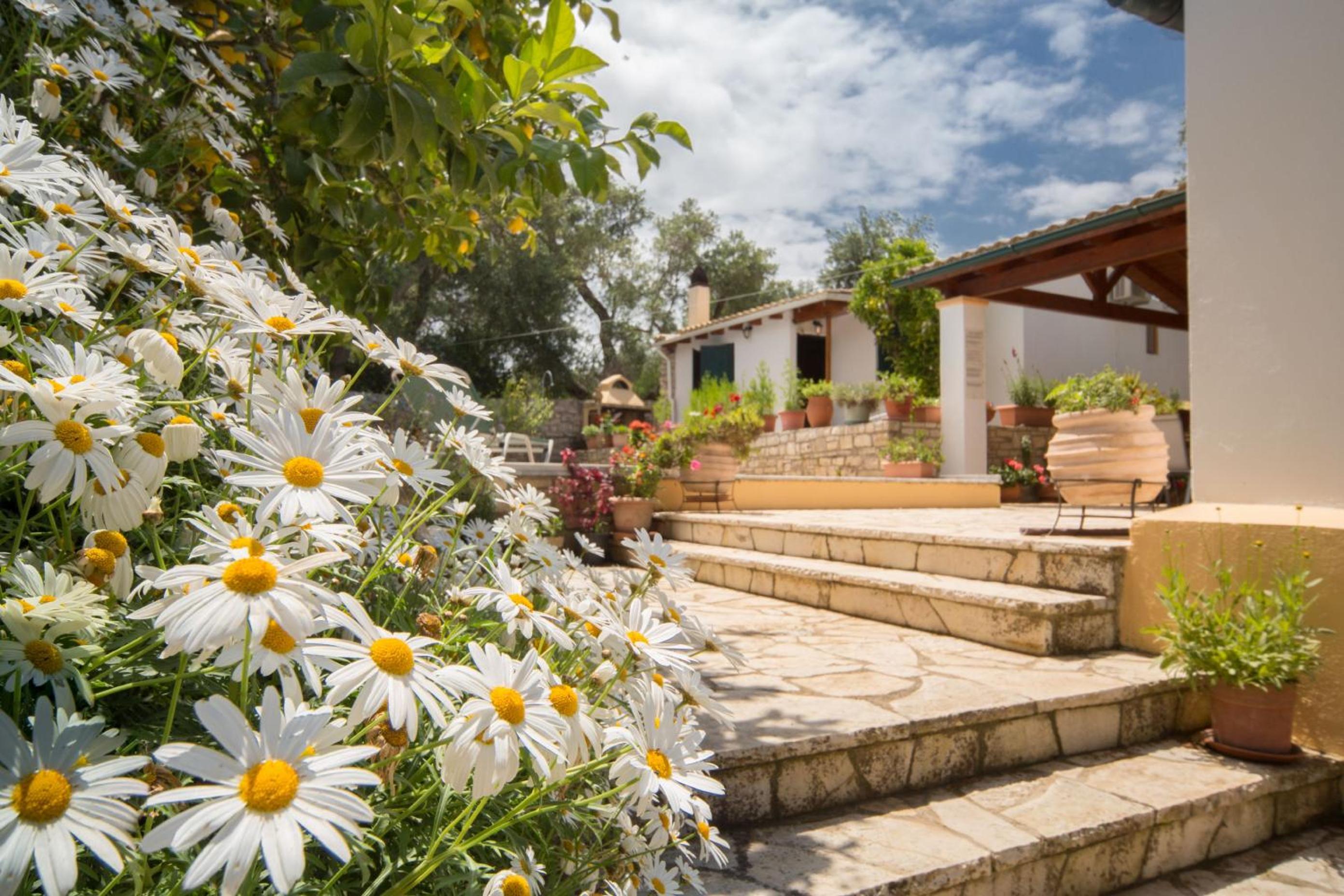 Marguerita House