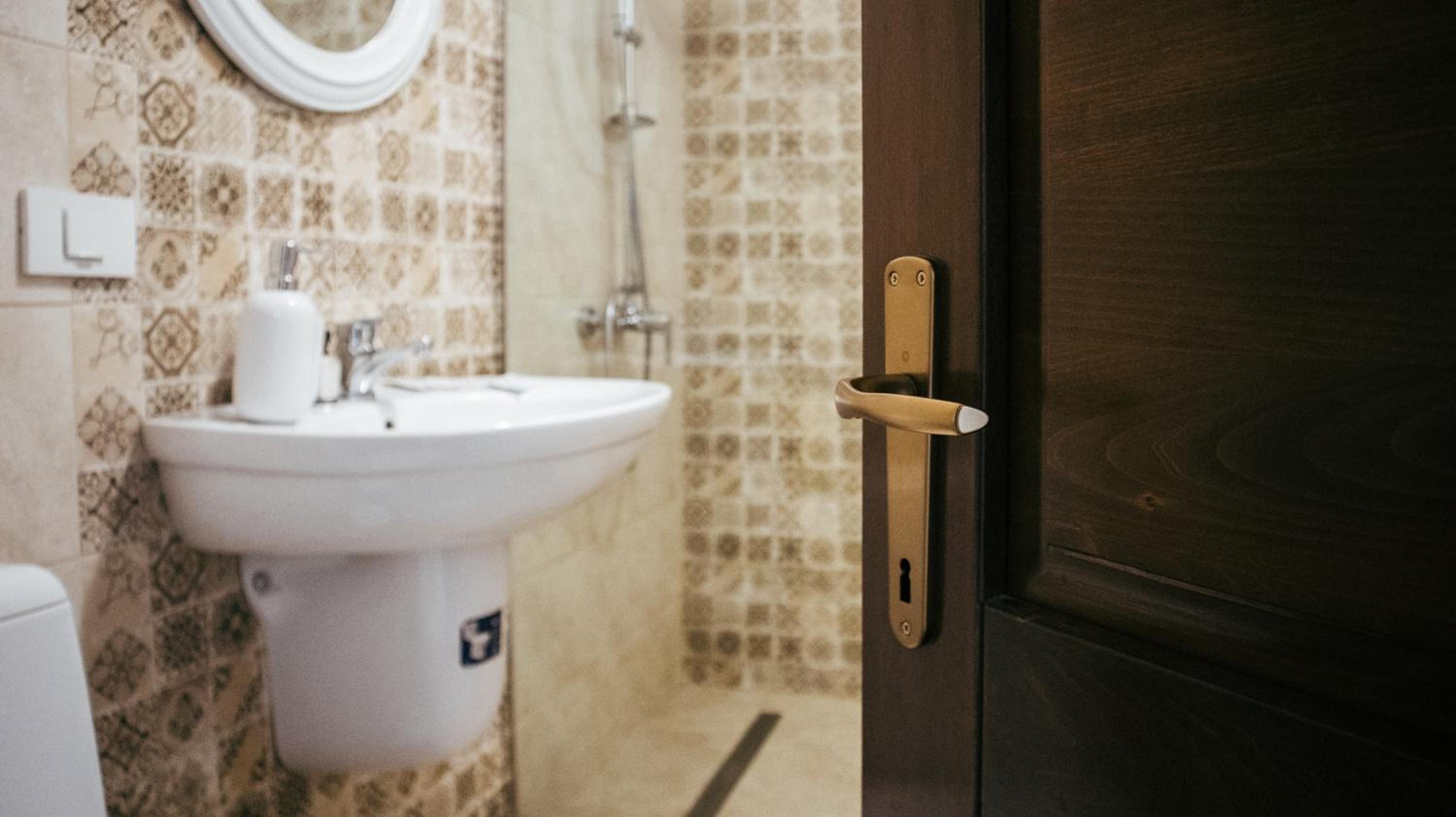 AristoCat Hotels Rasnov view 3