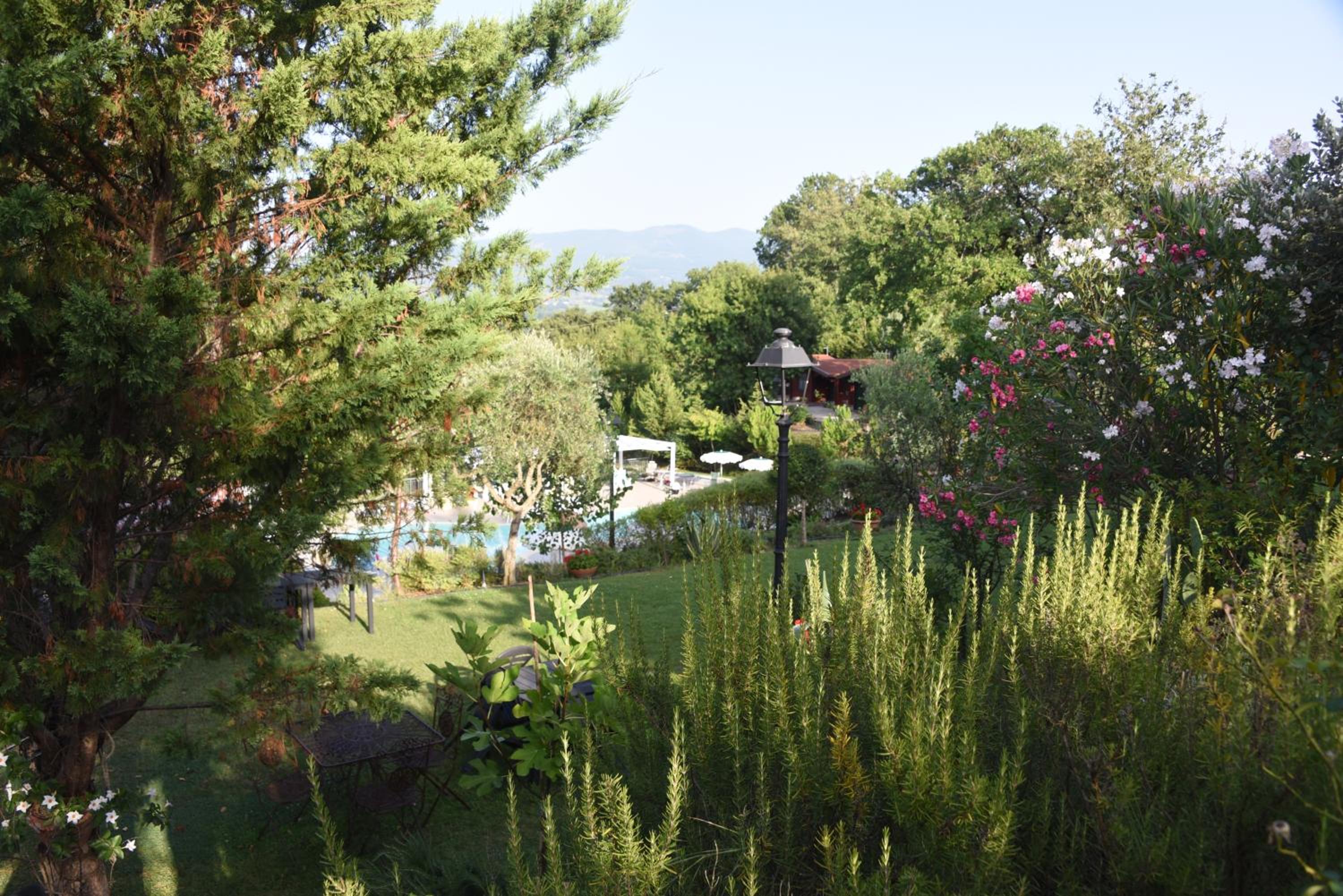 Bosco D'Olmi Country House