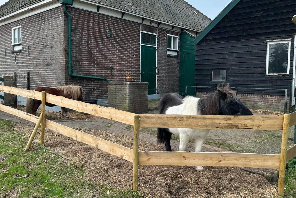 Beautiful farmhouse near Amsterdam center